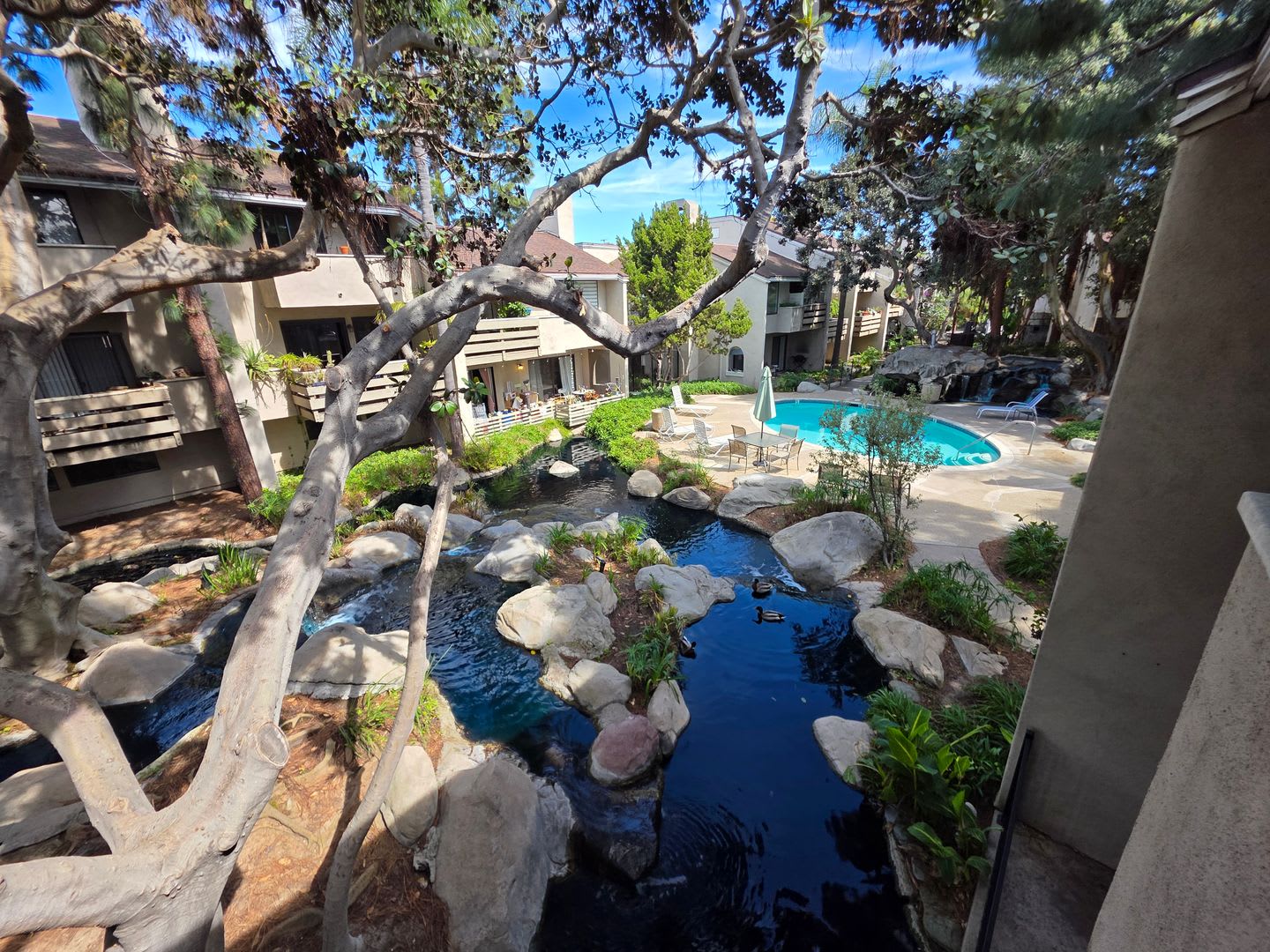Newly Renovated 2 Bedroom 2 Bathroom Home In Costa Mesa – photo 1 of 259