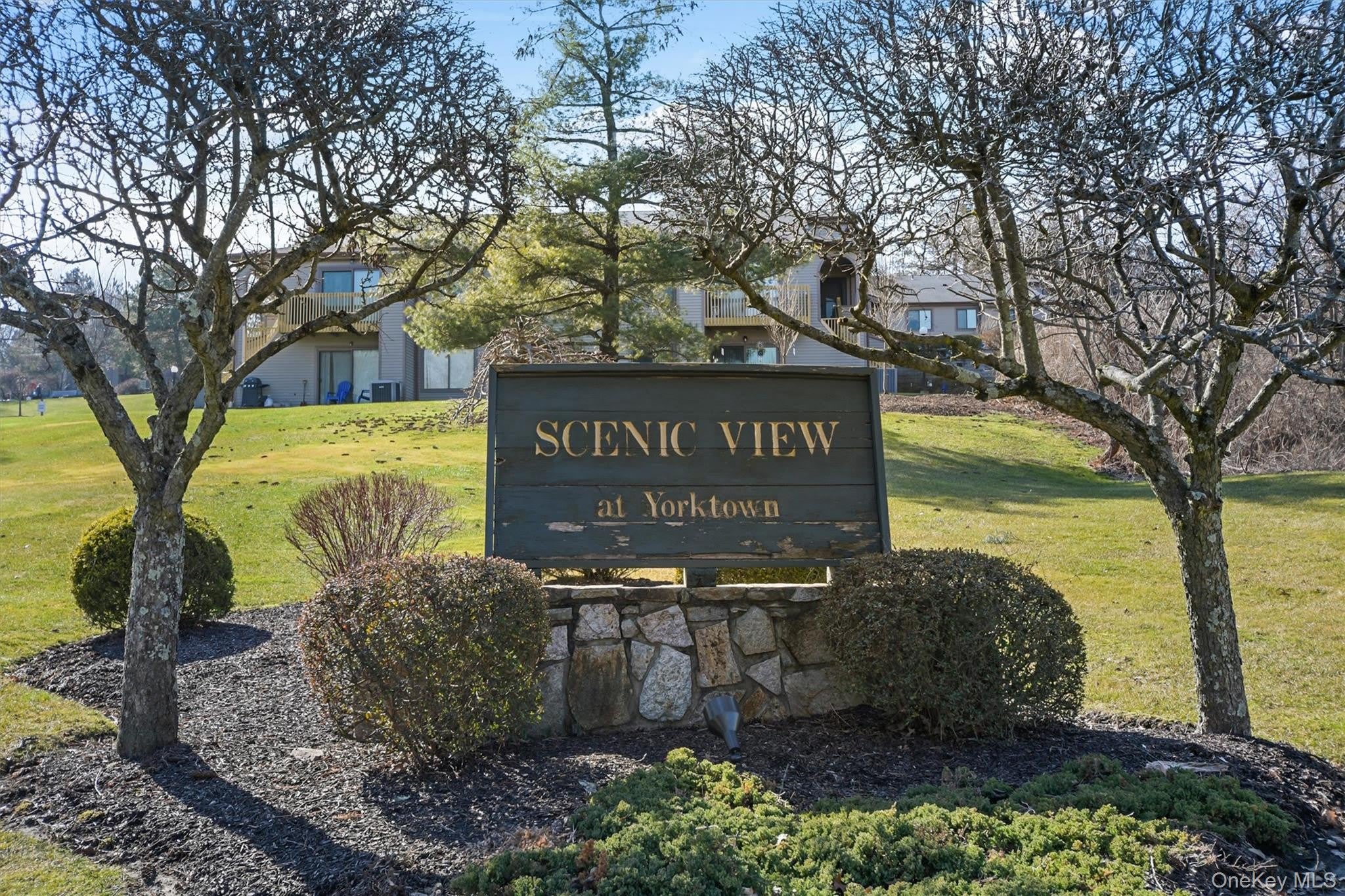 62 Scenic View – photo 1