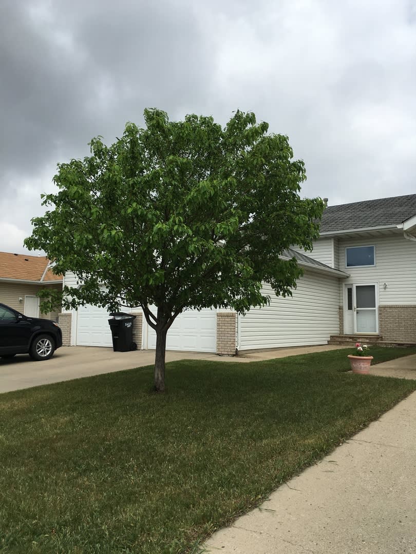 3 Bedroom 2 Bathroom Twinhome For Rent – photo 1