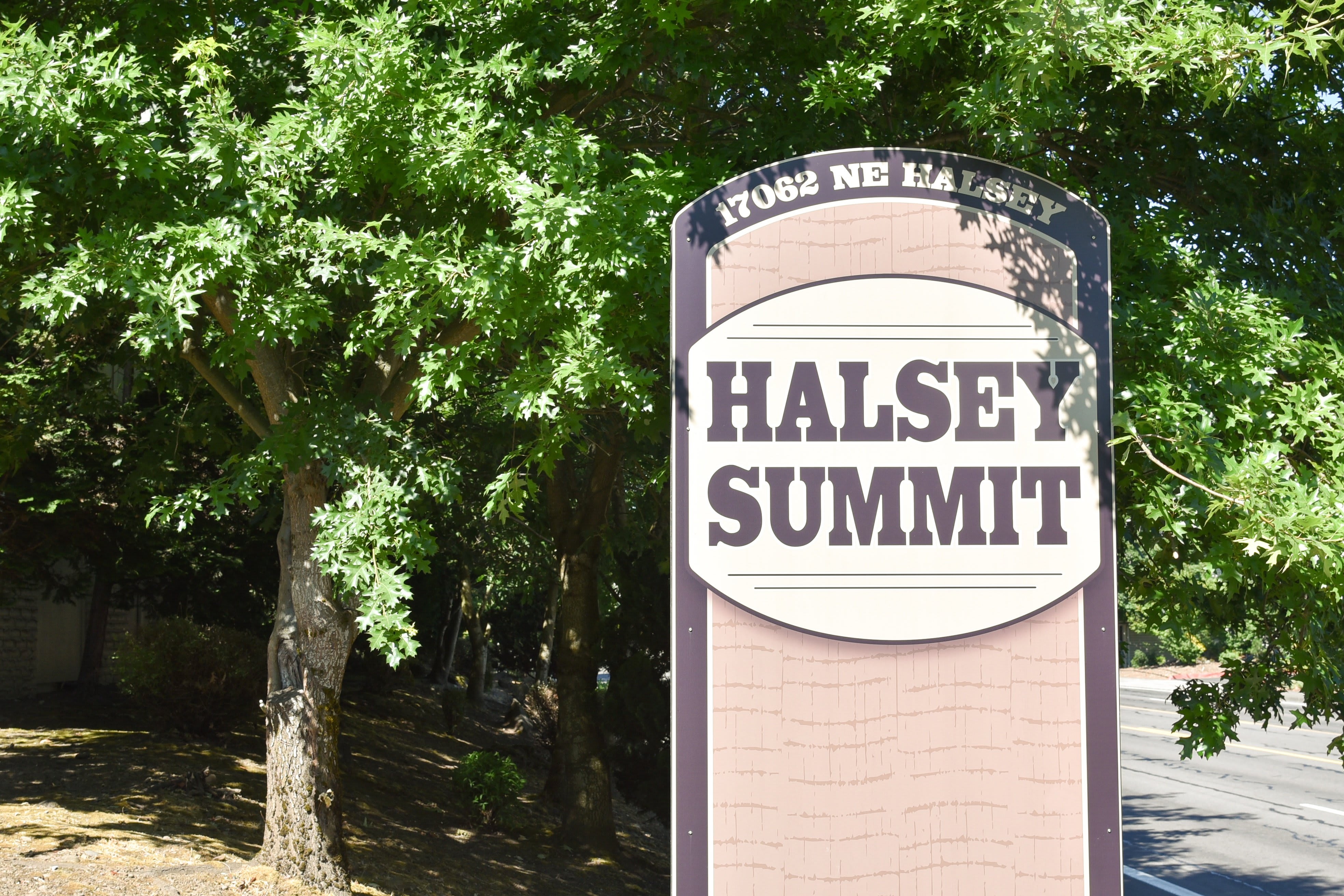 Halsey Summit – photo 1