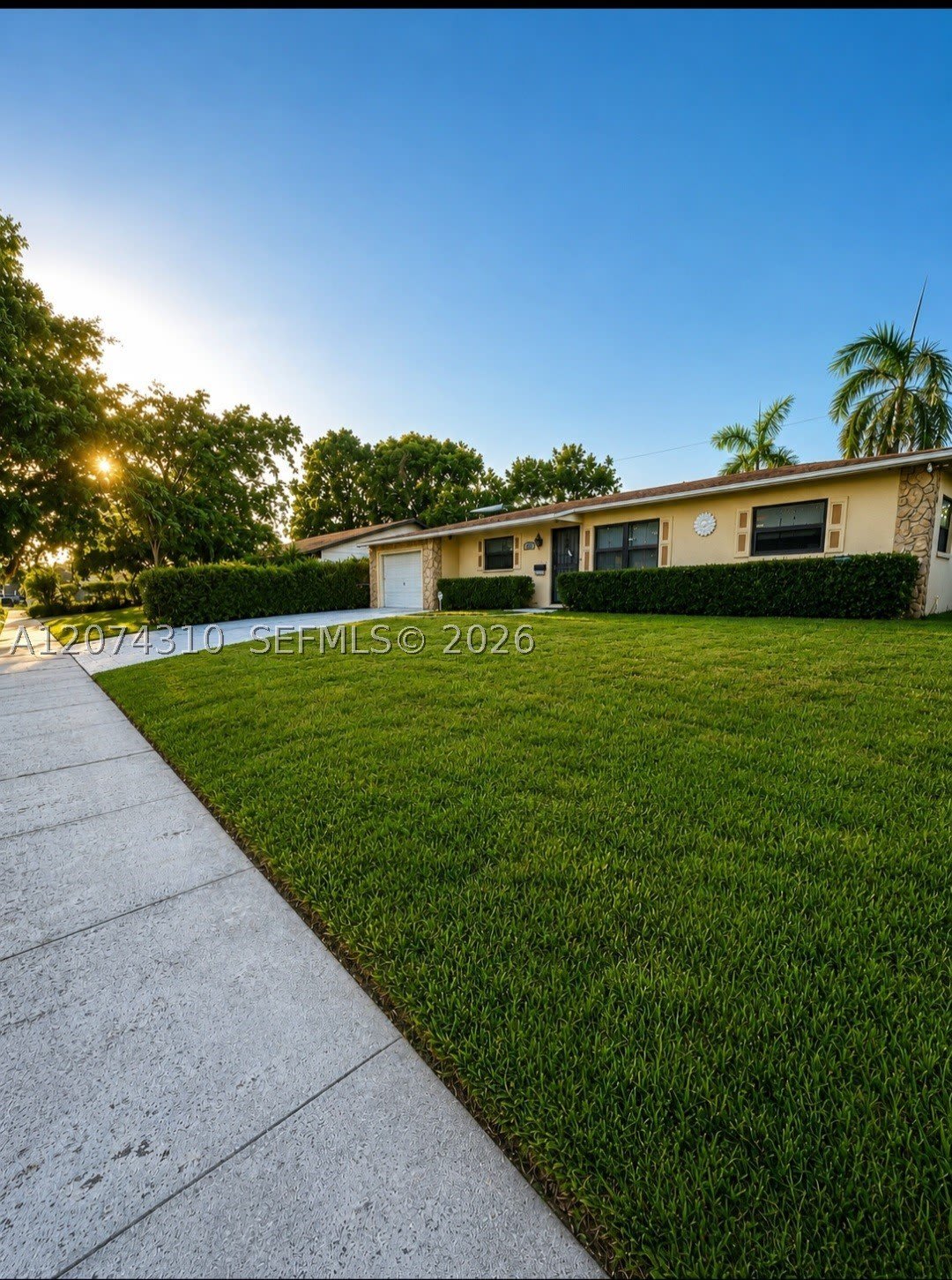 539 Sabal Palm Dr – photo 1