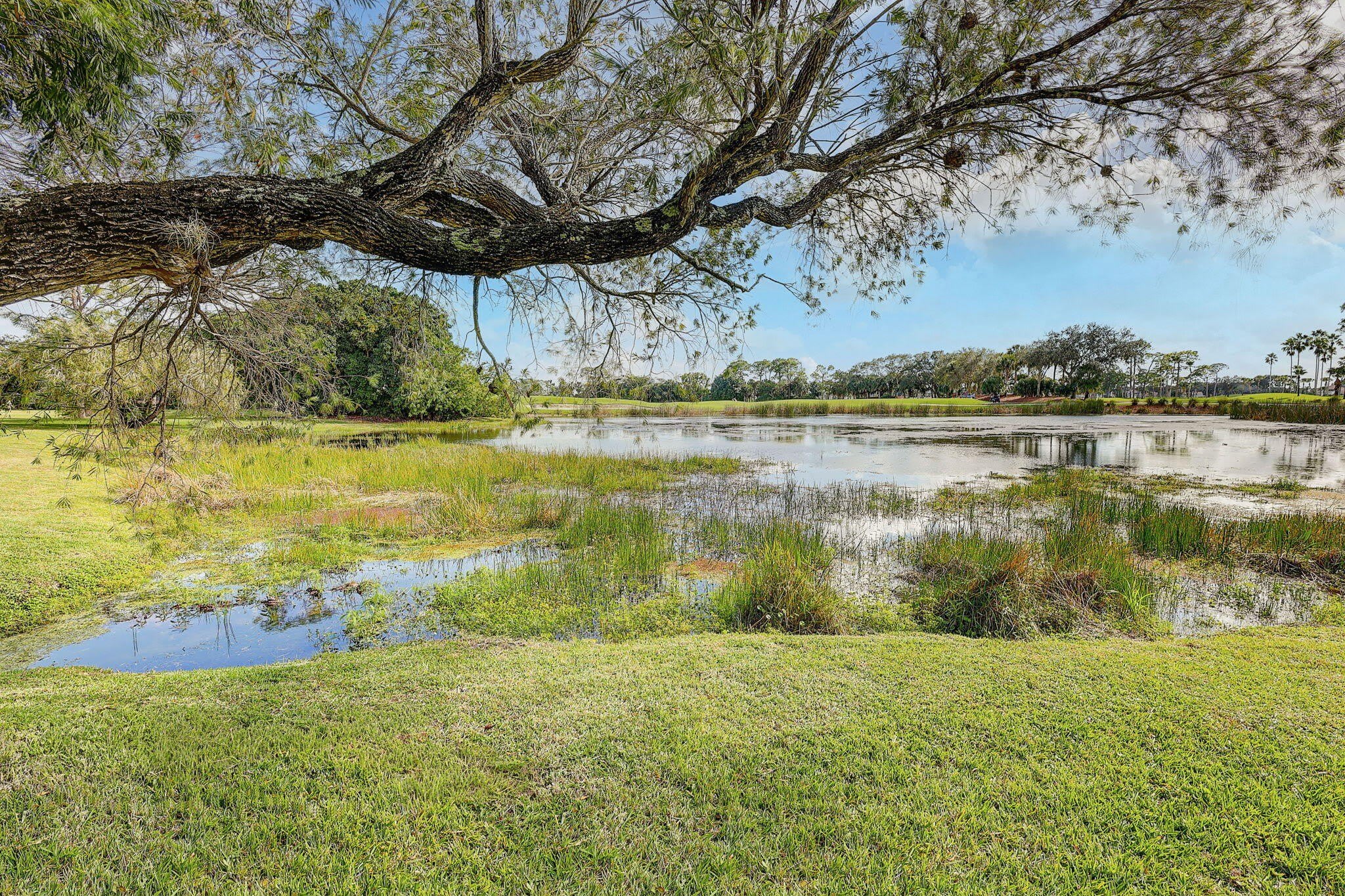 334 Brackenwood Circle – photo 1