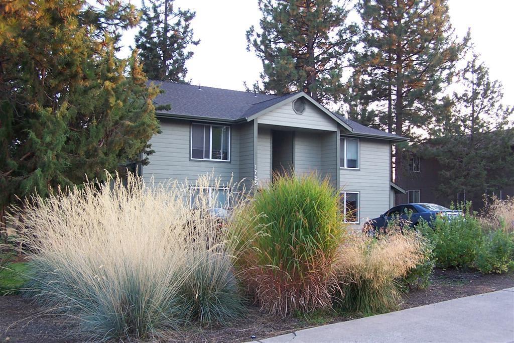 515 – photo 1