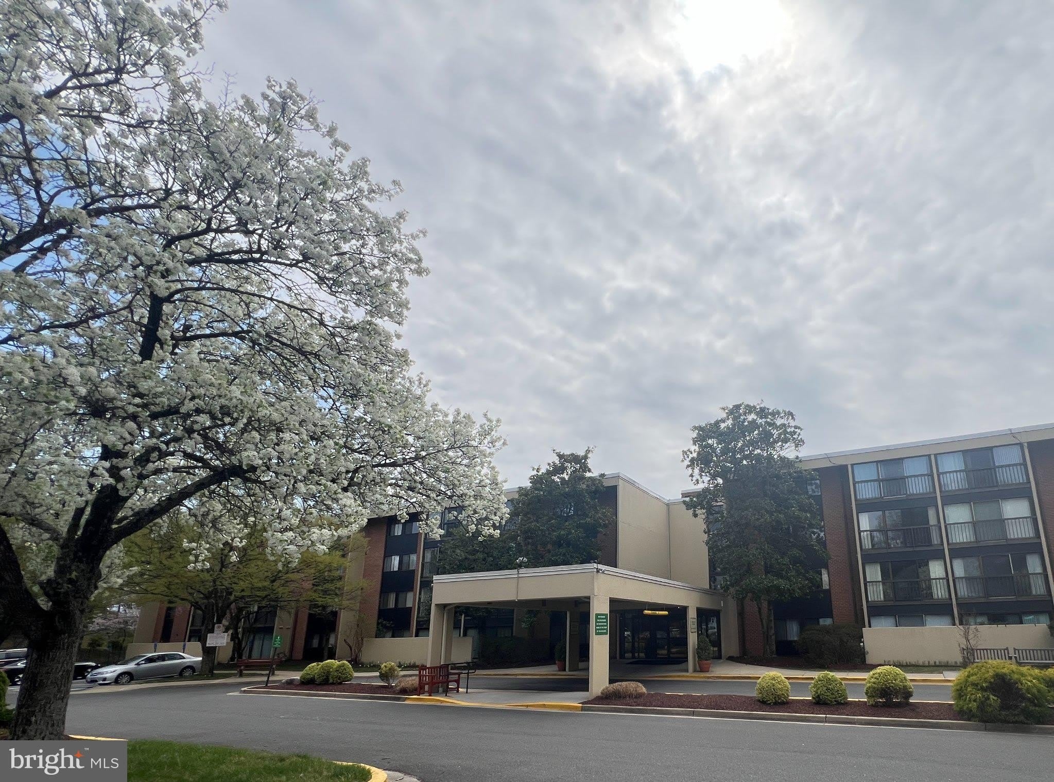 2921 N LEISURE WORLD Boulevard – photo 1 of 18