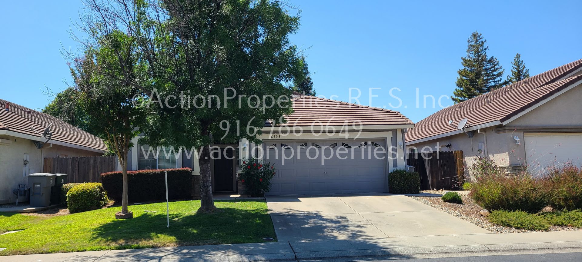Single Story 1700sqft Rocklin Single Story, 3 bedroom, 2 baths-Gardner, Walking distance shopping – photo 1