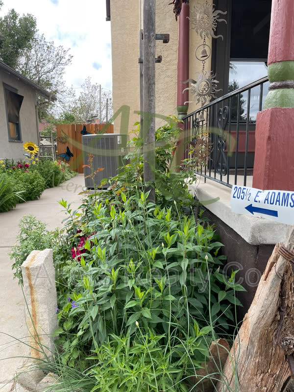 205 1 2 E Adams Ave – photo 1 of 103