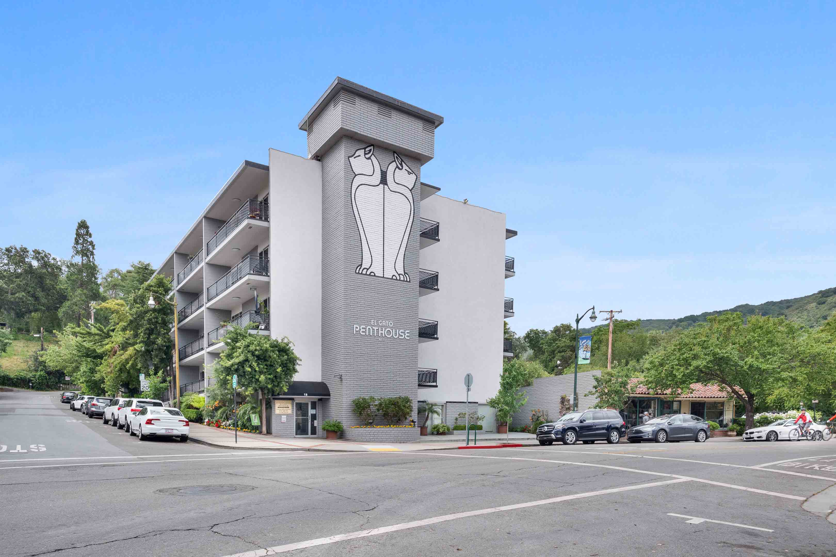 El Gato Penthouse – photo 1 of 13