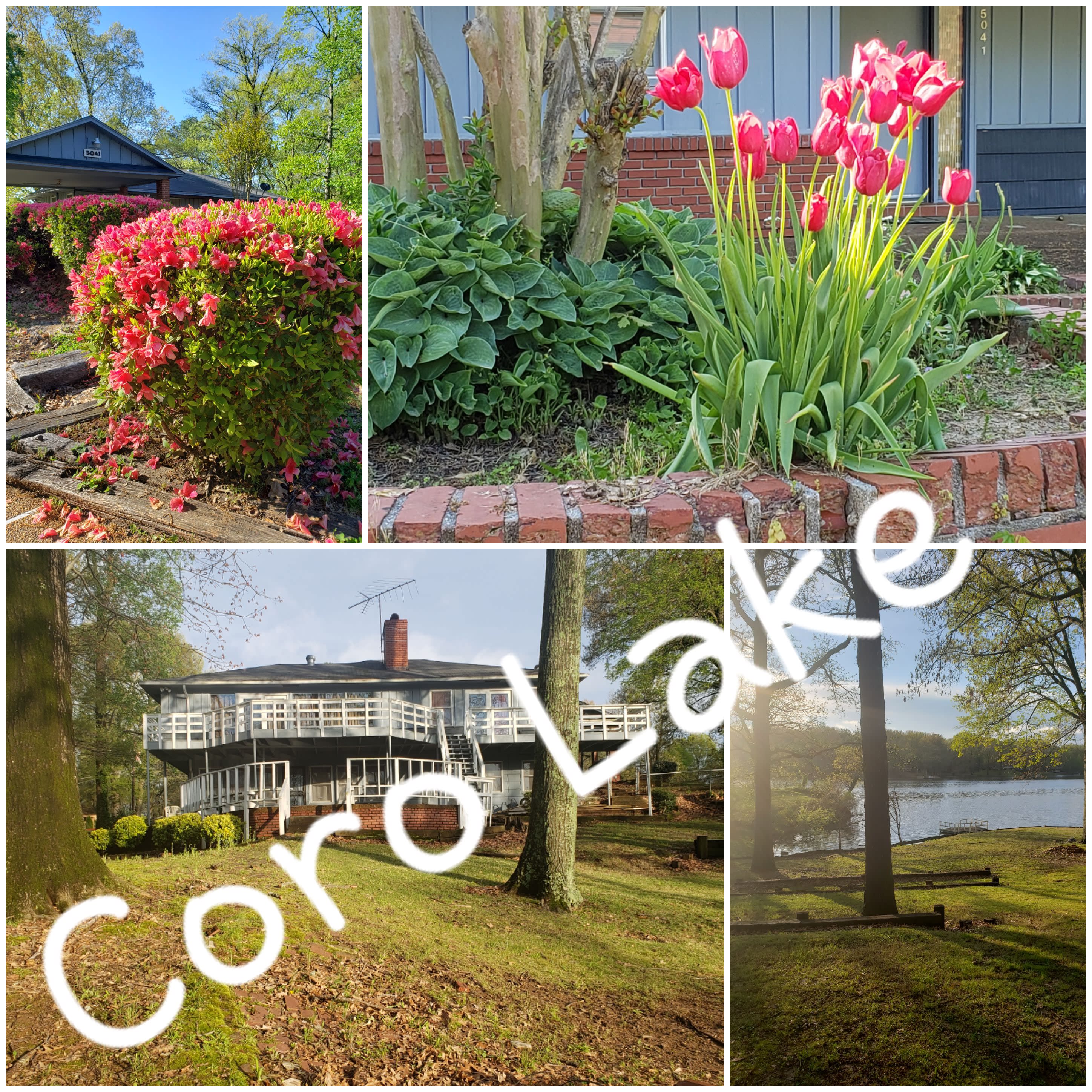 5041 East Shore Drive – photo 1