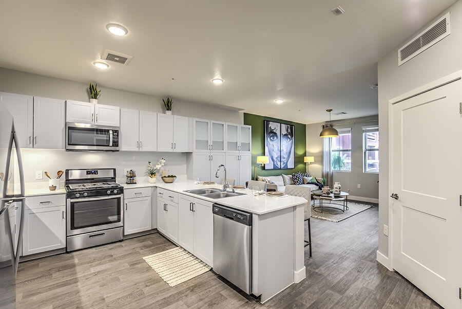 Radiance at Rock Springs 55+ – photo 1
