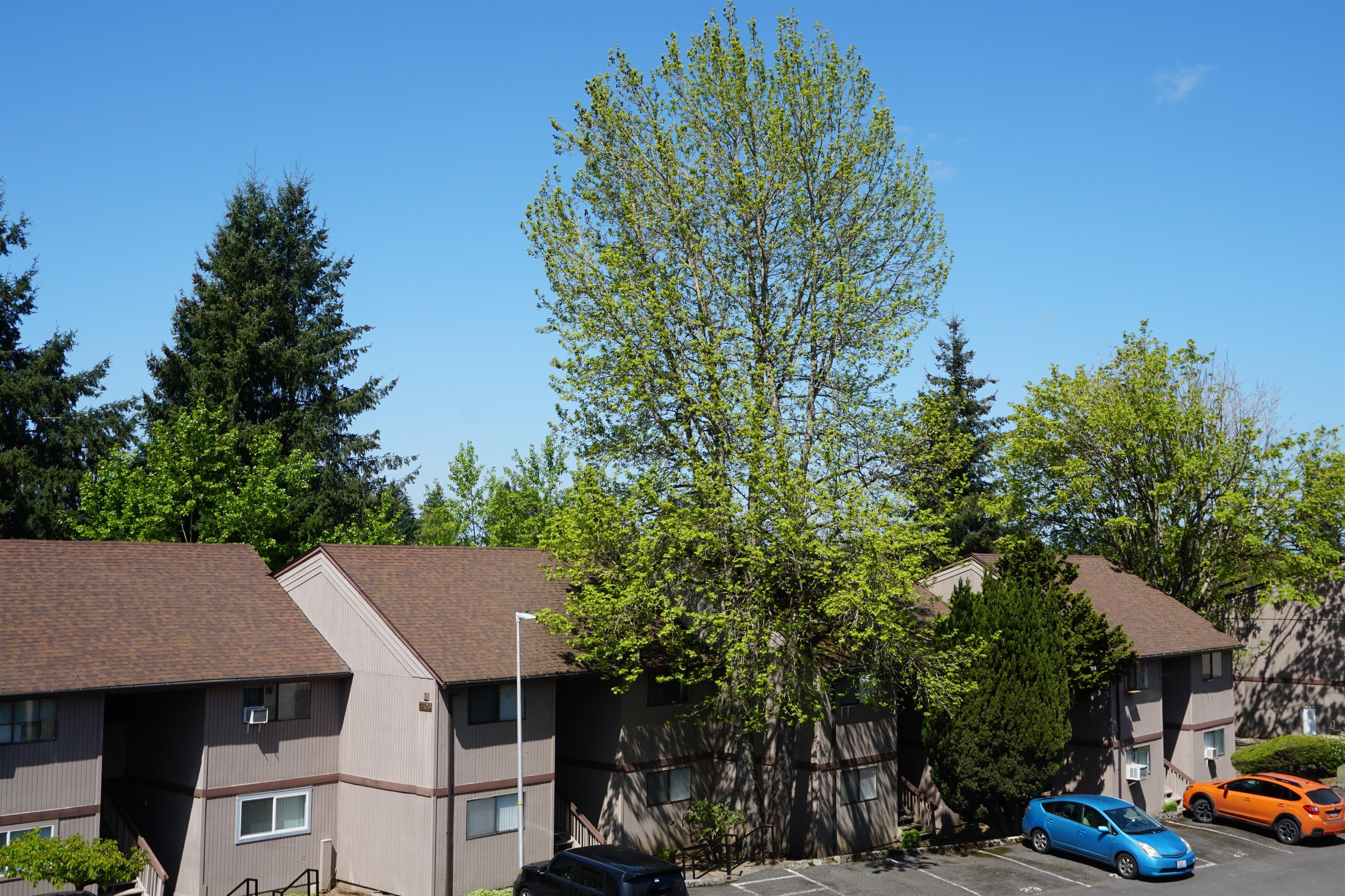 1806 NE 104th Street #C-12 – photo 1 of 7