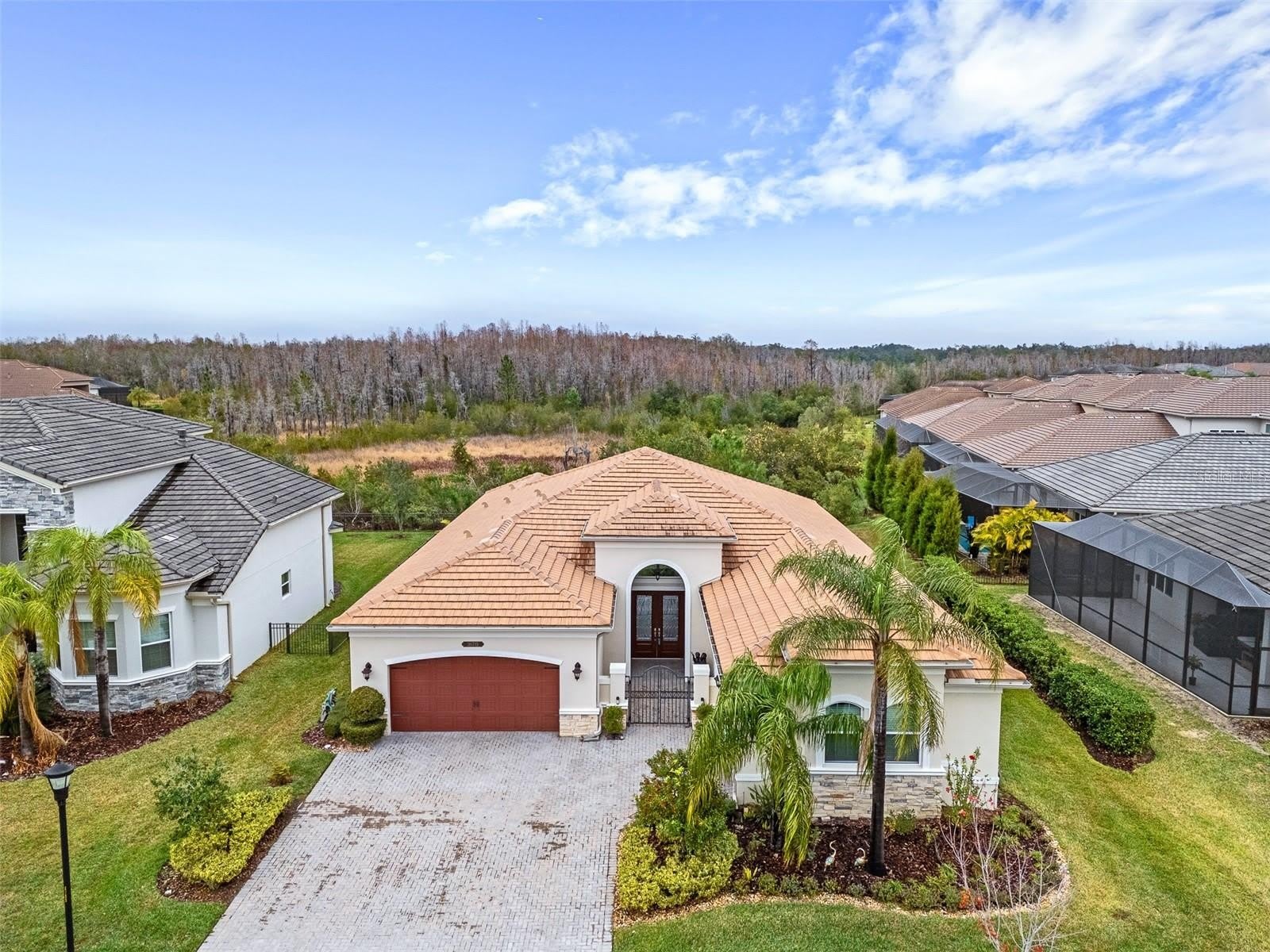 30715 TUMBLEBERRY Street – photo 1