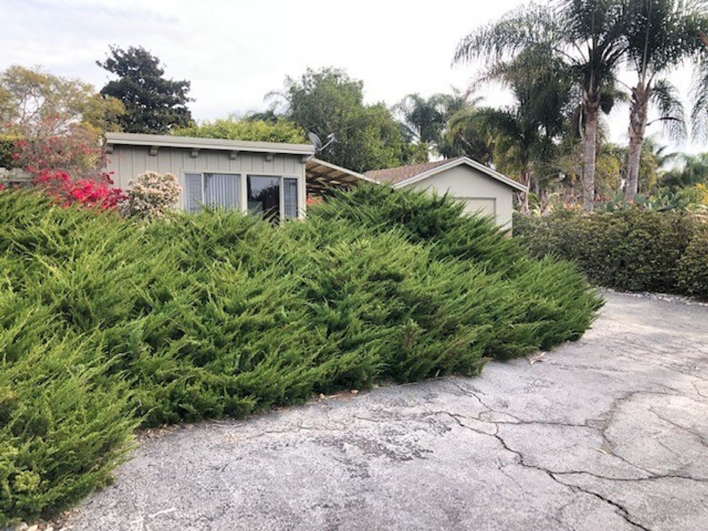 Tranquil Encinitas Studio Retreat – photo 1 of 6