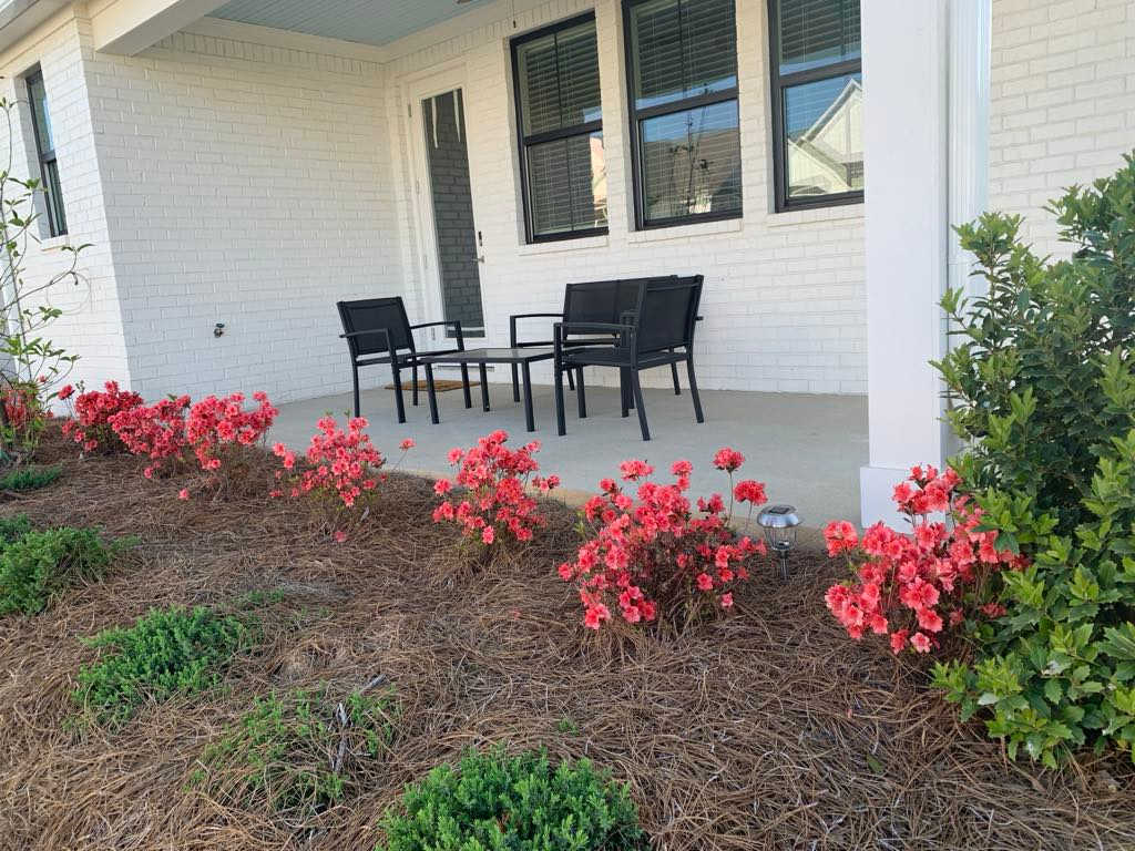 468 Lilly Loop – photo 1