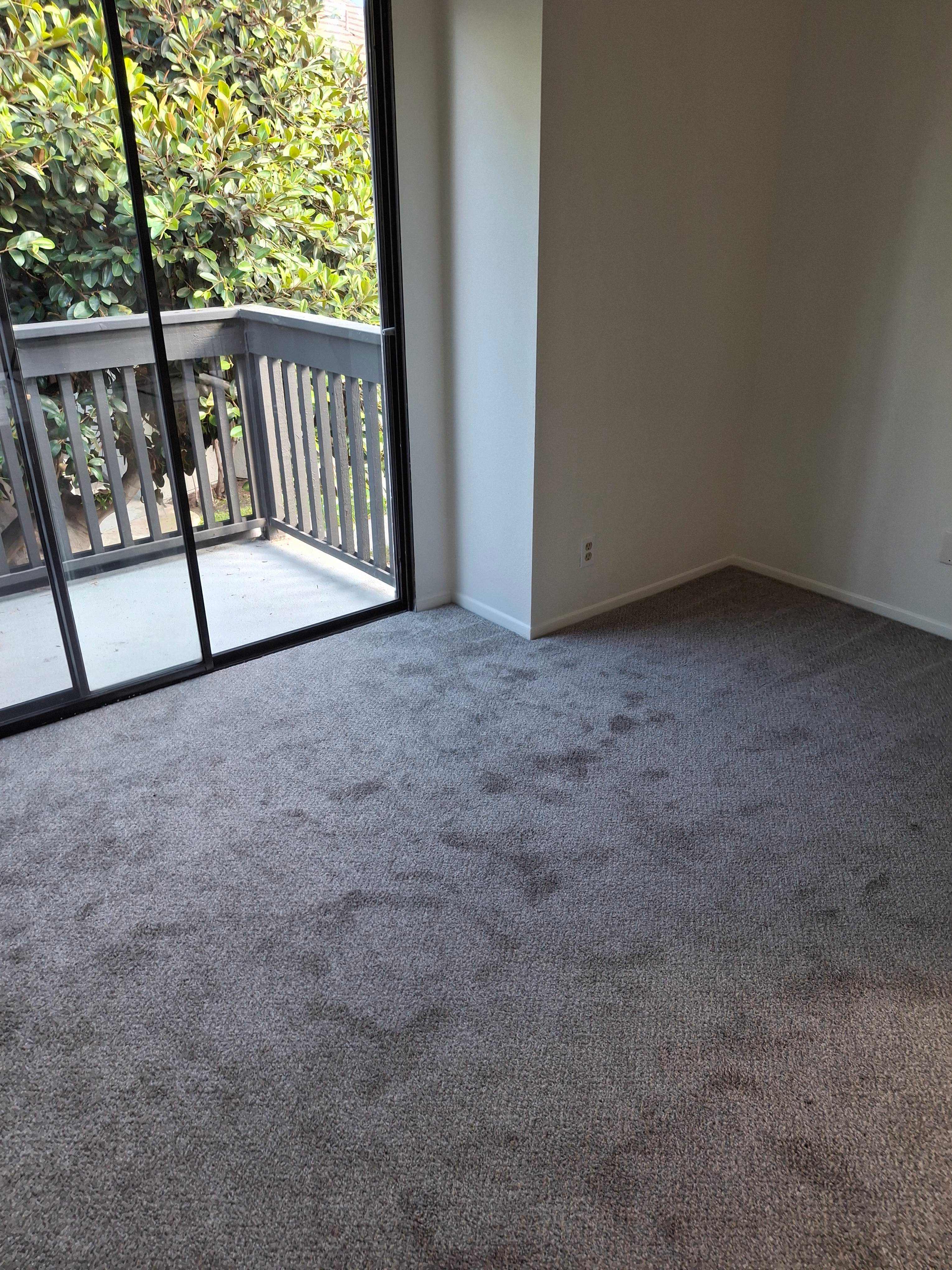 469 Orange Blossom – photo 1