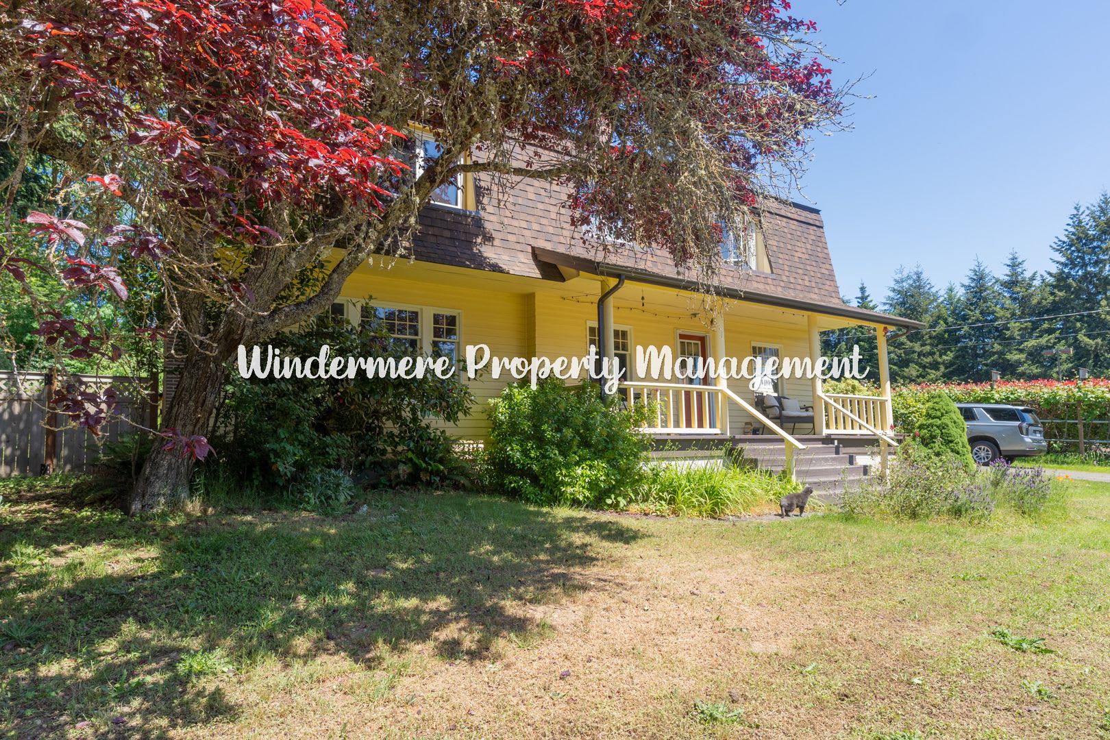 Peaceful And Bright 3 Bed In Kingston Walk To Ferry With Dry Sauna – photo 1 of 23