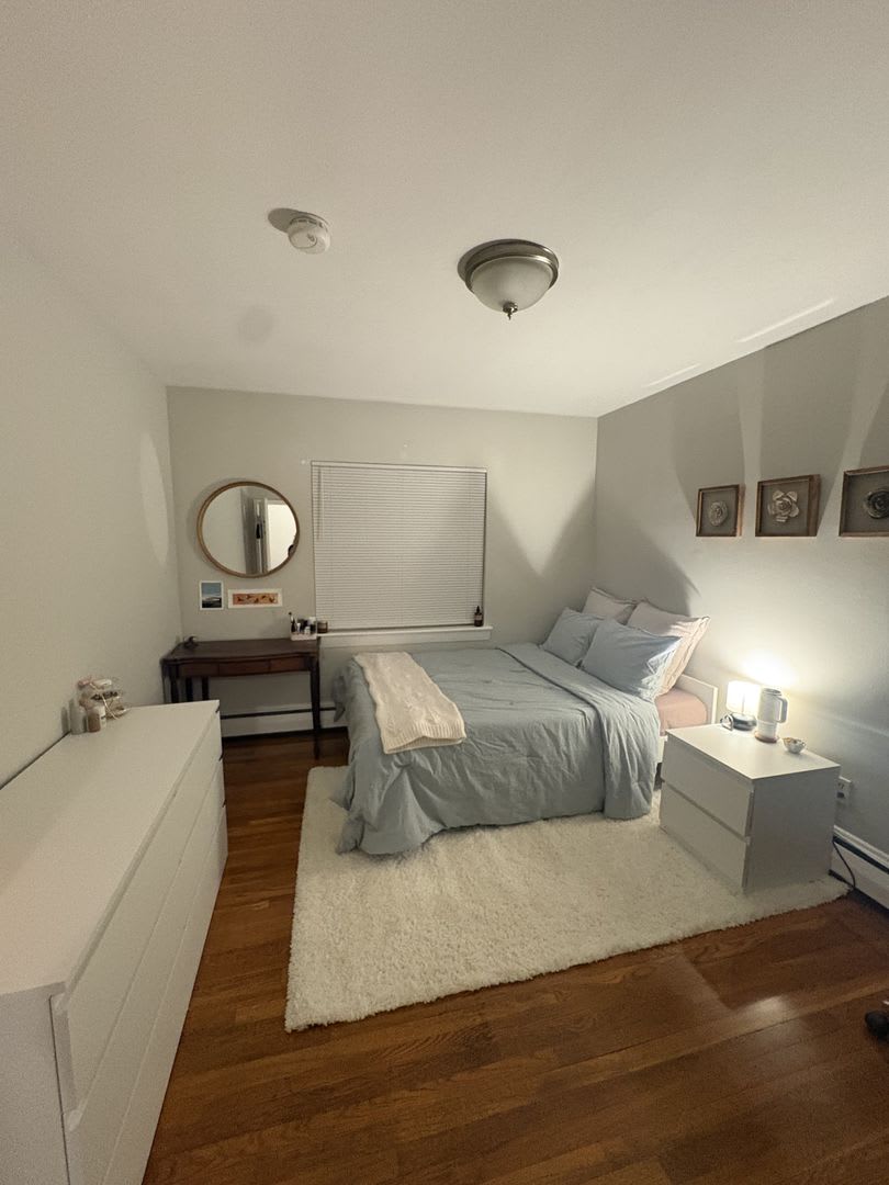 See YT Video! No Fee! Huge & Sunny Apt near Ts & Cleveland Cirlce. Cat Friendly – photo 1