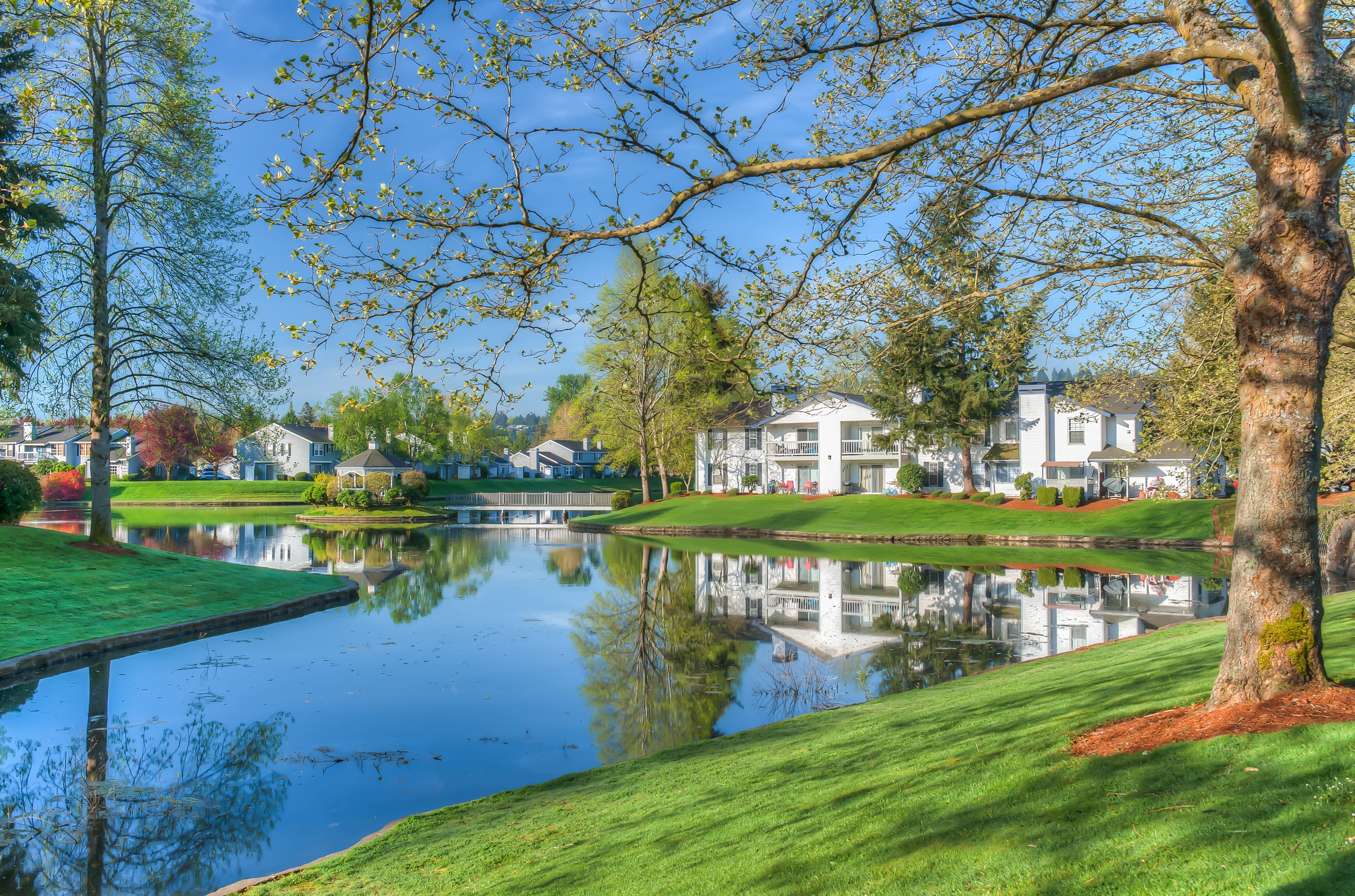 Island Park – photo 1 of 339