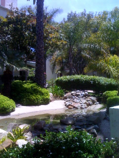 Community Pool/Spa – photo 1