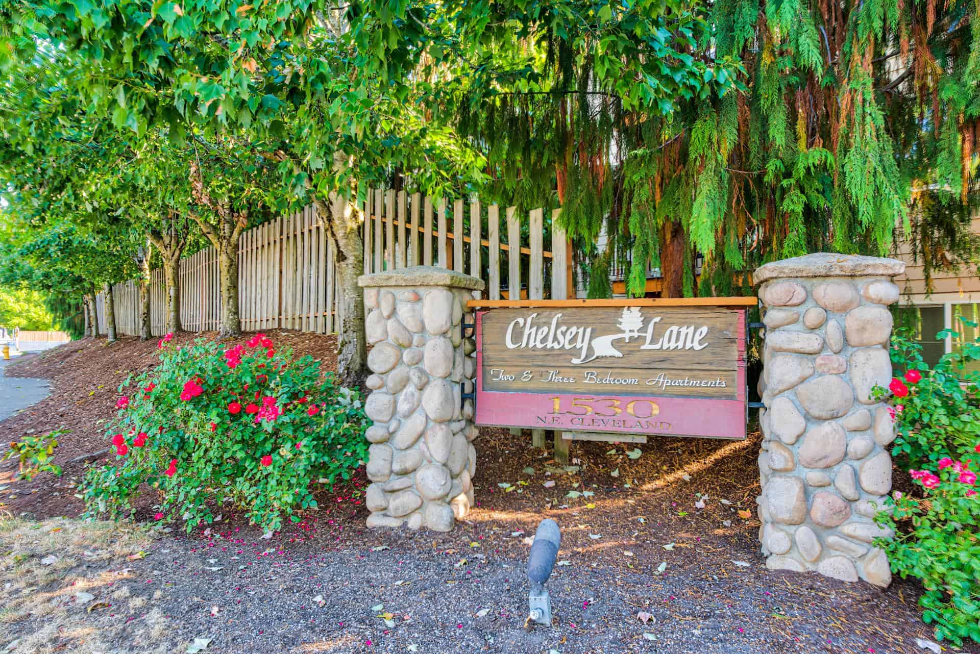 Chelsey Lane – photo 1 of 372