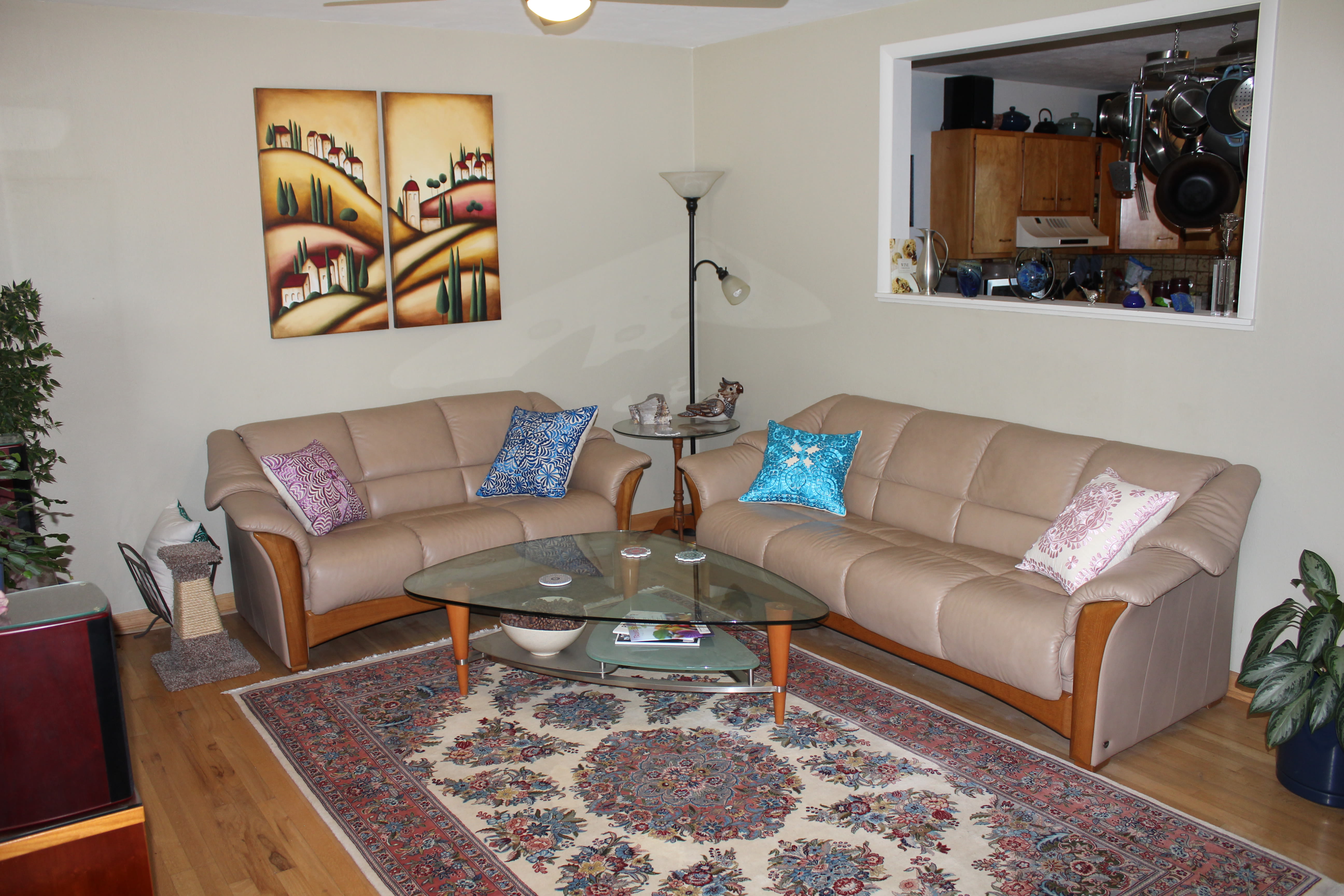 2995 Carnegie Drive – photo 1