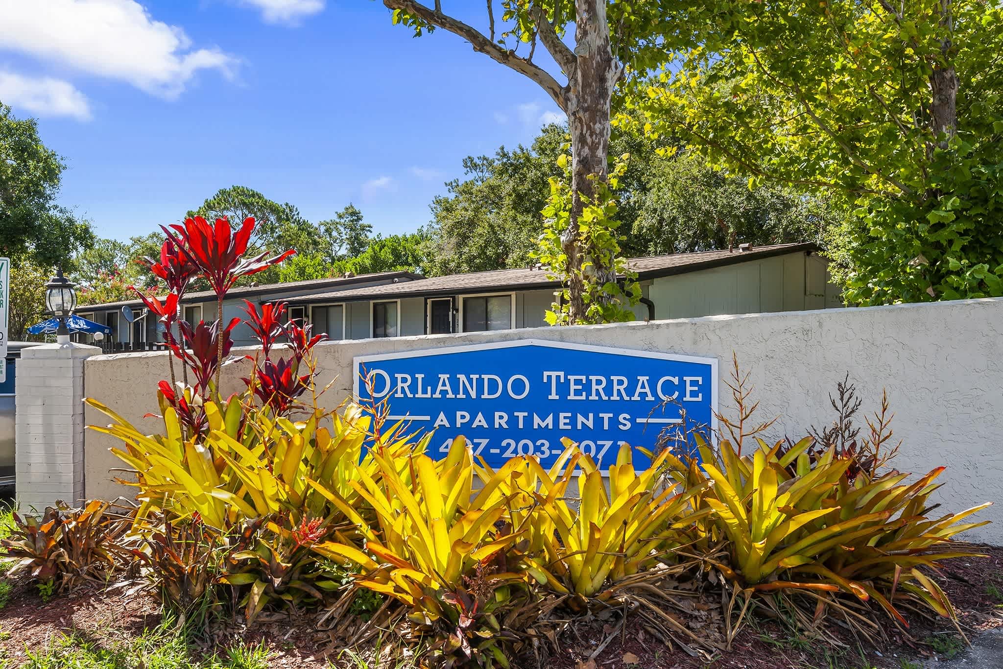 Orlando Terrace Apartments – photo 1