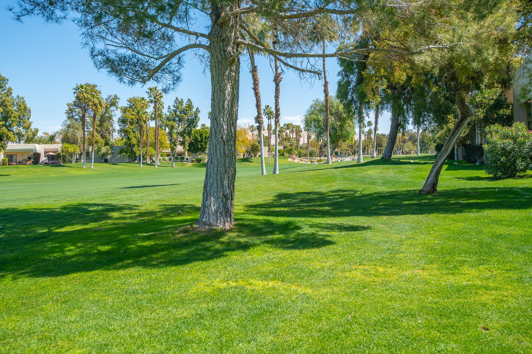 67328 Cumbres Court – photo 1