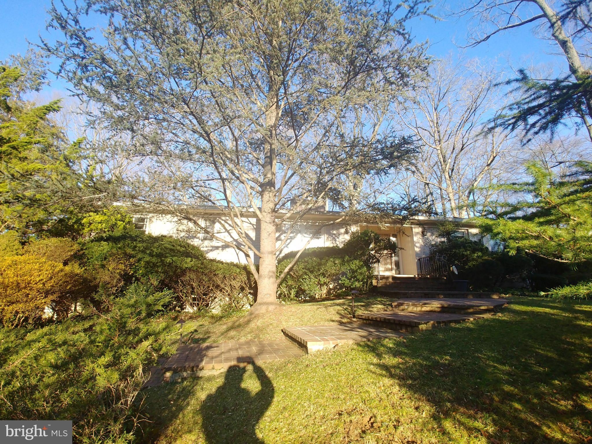 1429 LABURNUM Street – photo 1