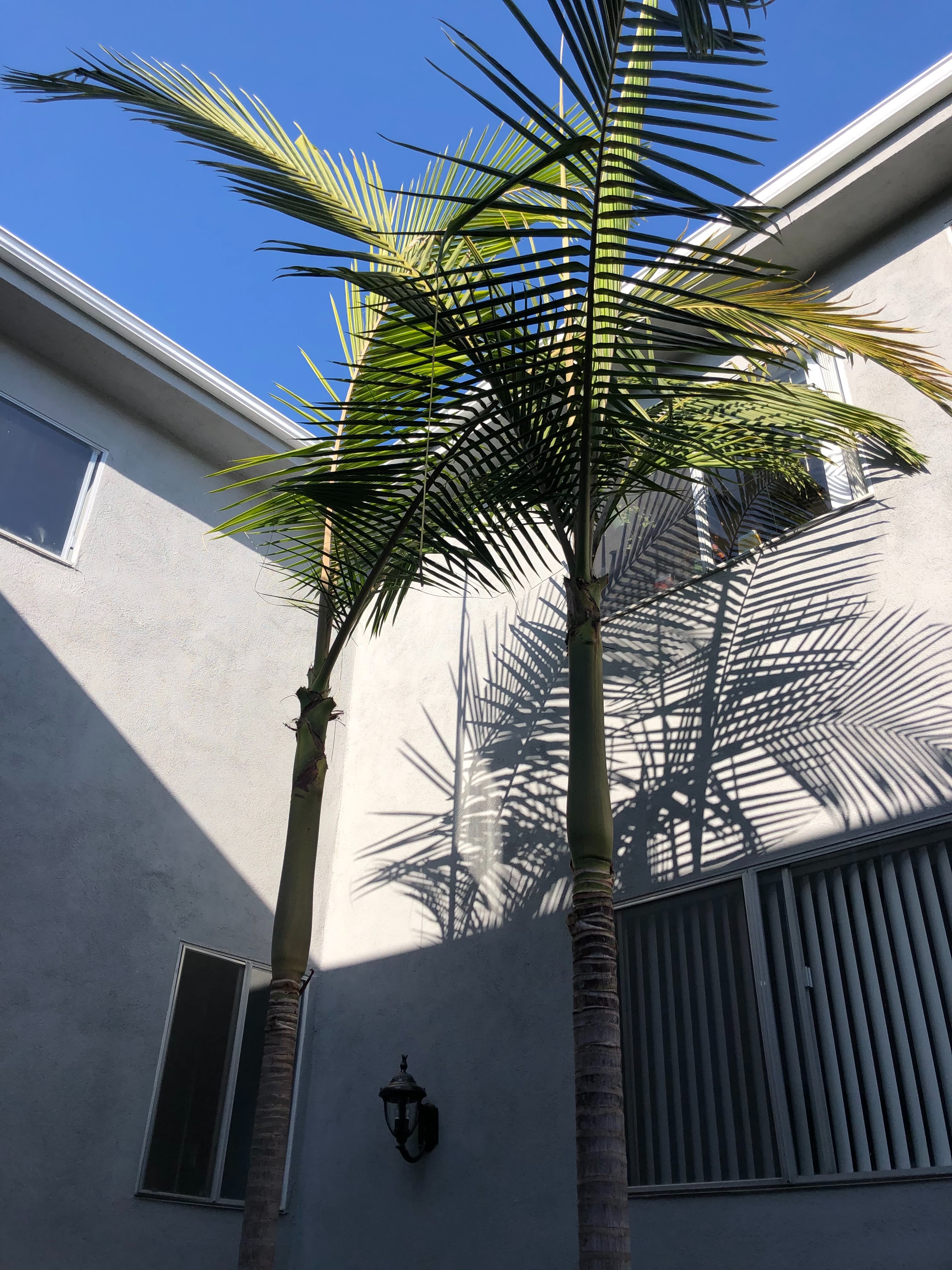LUXURY LIVING AT AN AFFORDABLE PRICE – photo 1