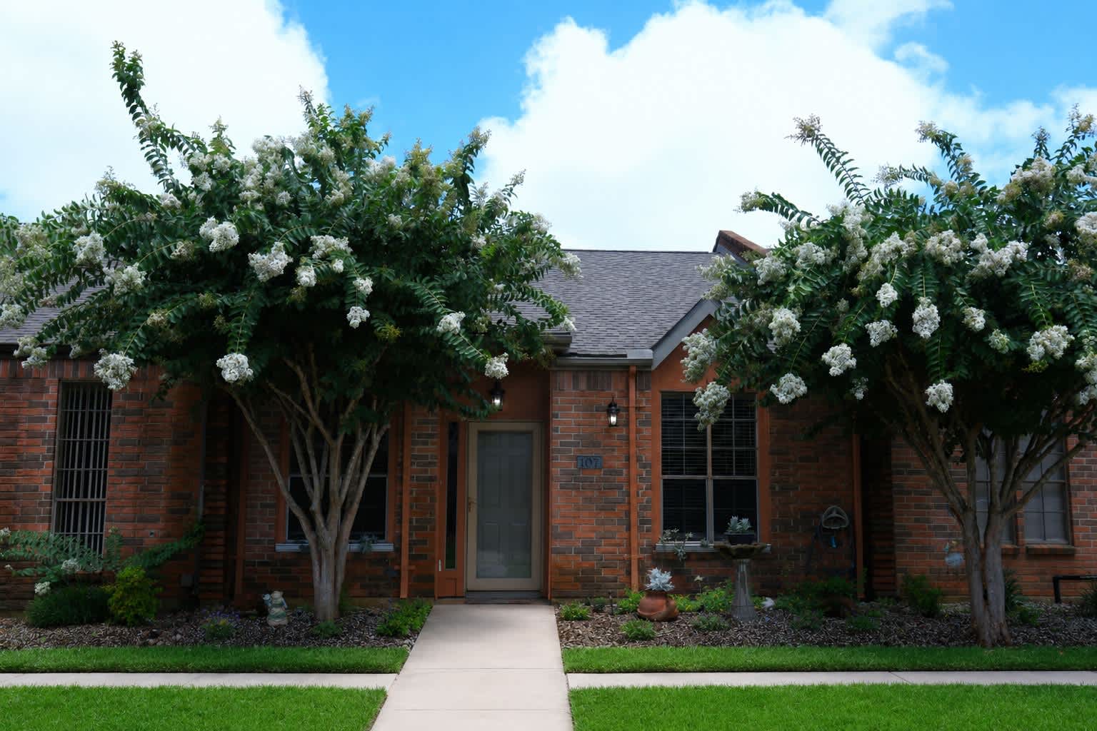 107 Manor Place TX – photo 1 of 10