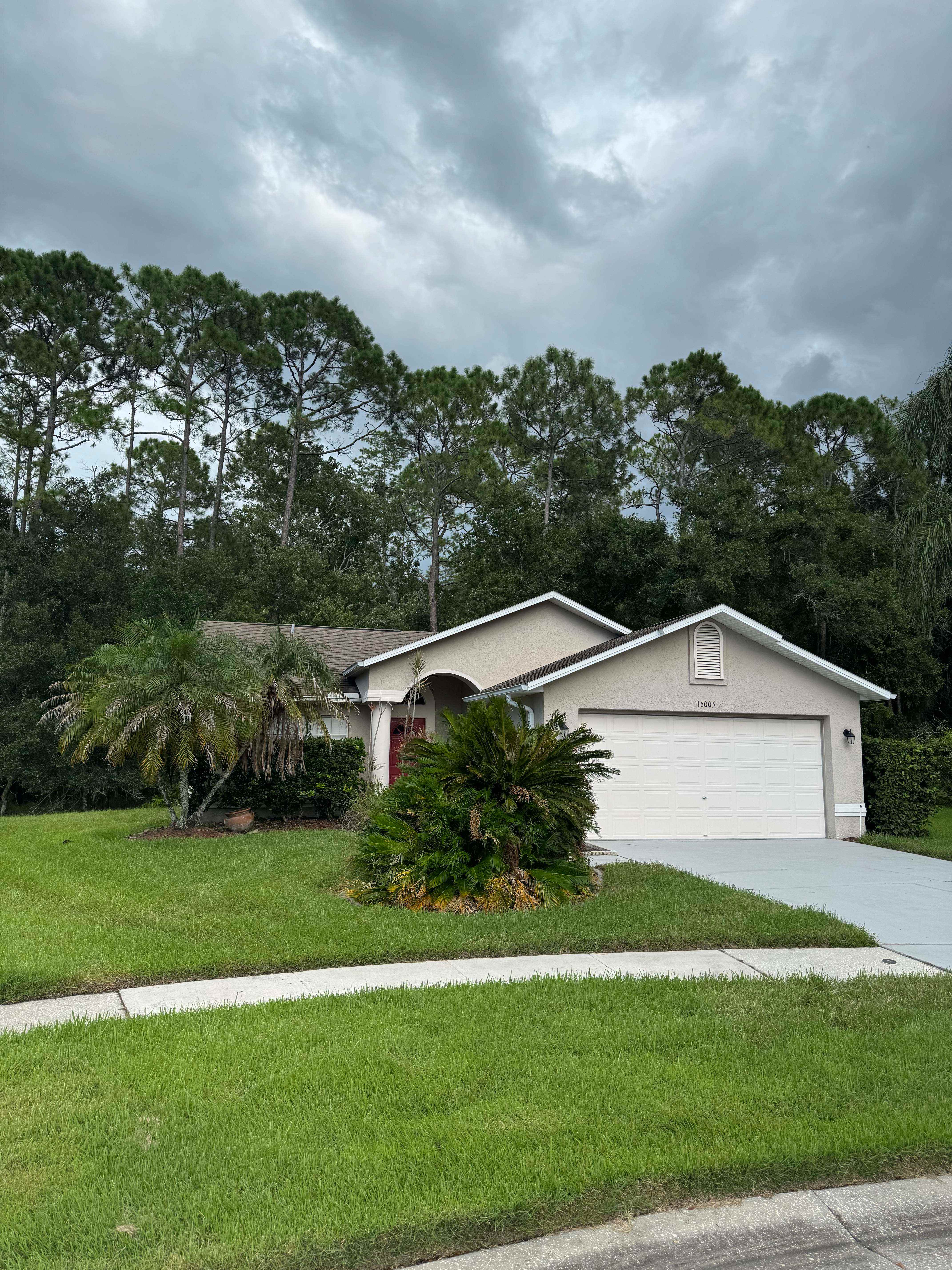 16005 Royal Aberdeen Place – photo 1 of 61