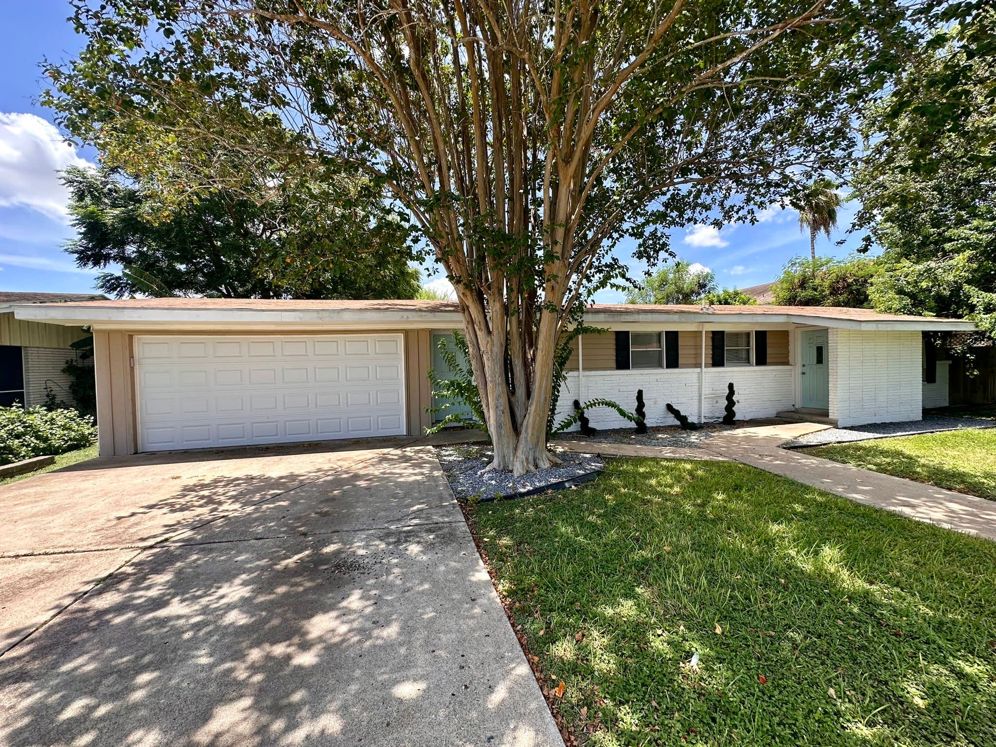 807 Walnut Ave – photo 1