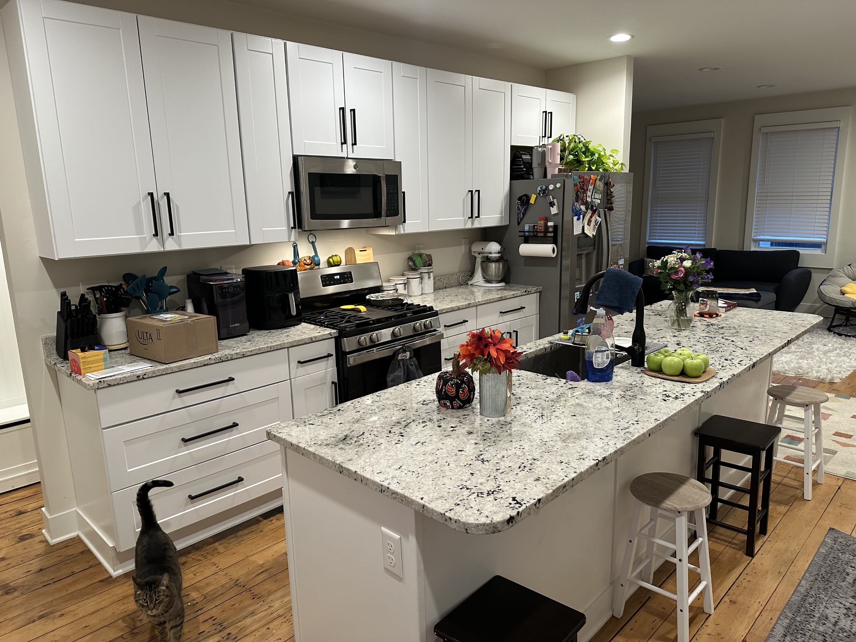 1044 Washington Avenue – photo 1 of 11