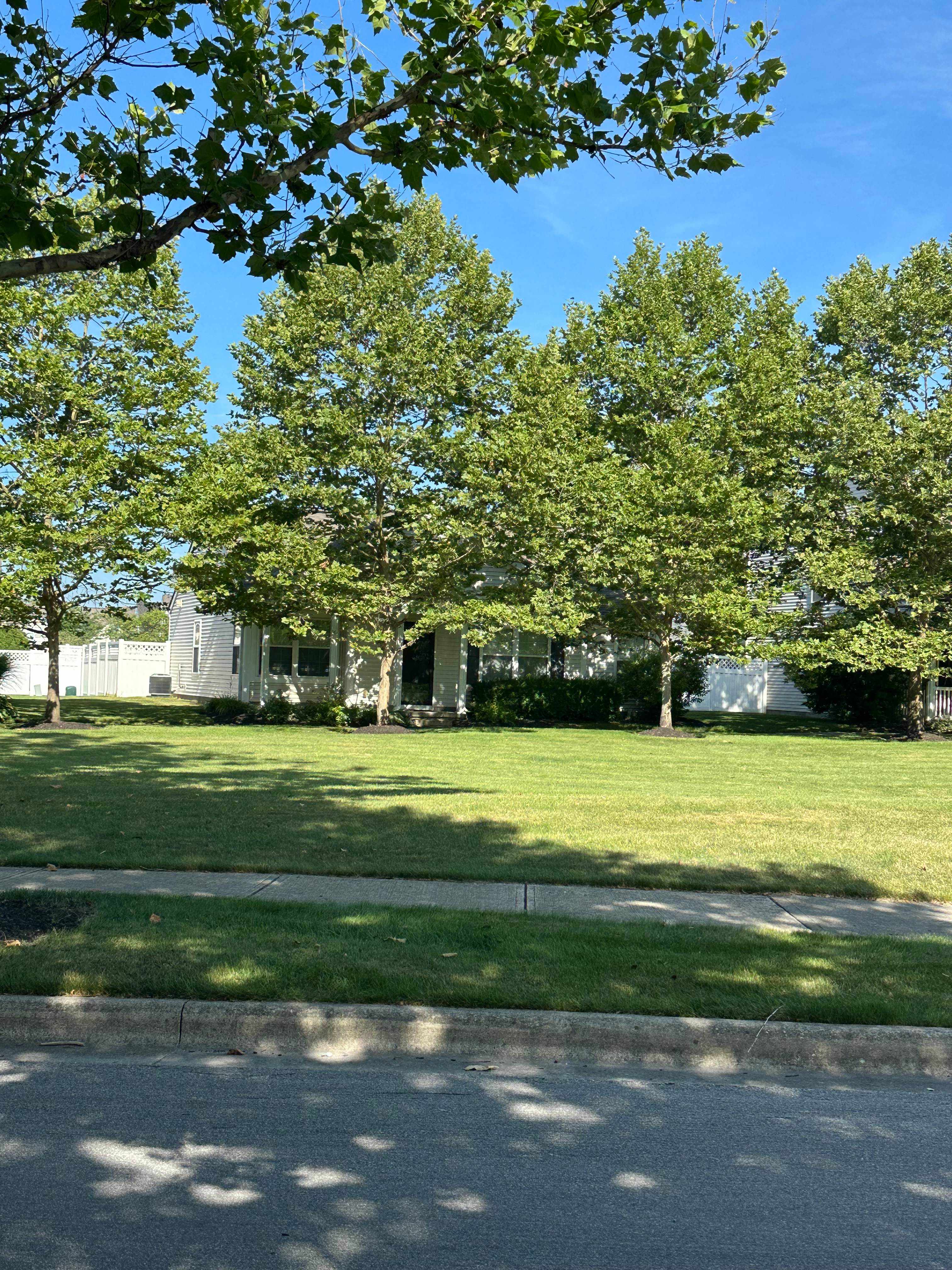 5994 Inslee Rd – photo 1