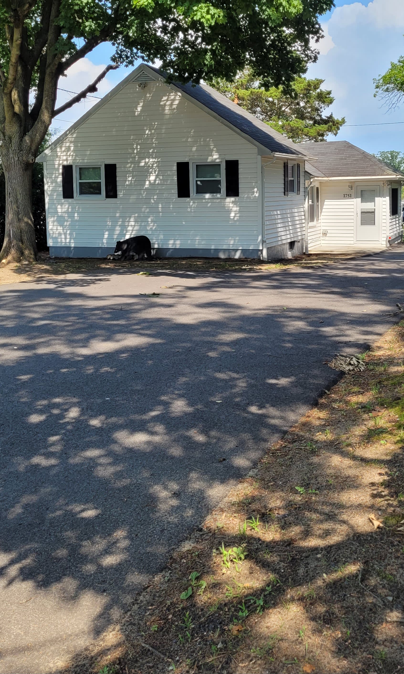 1751 Almonesson Road – photo 1