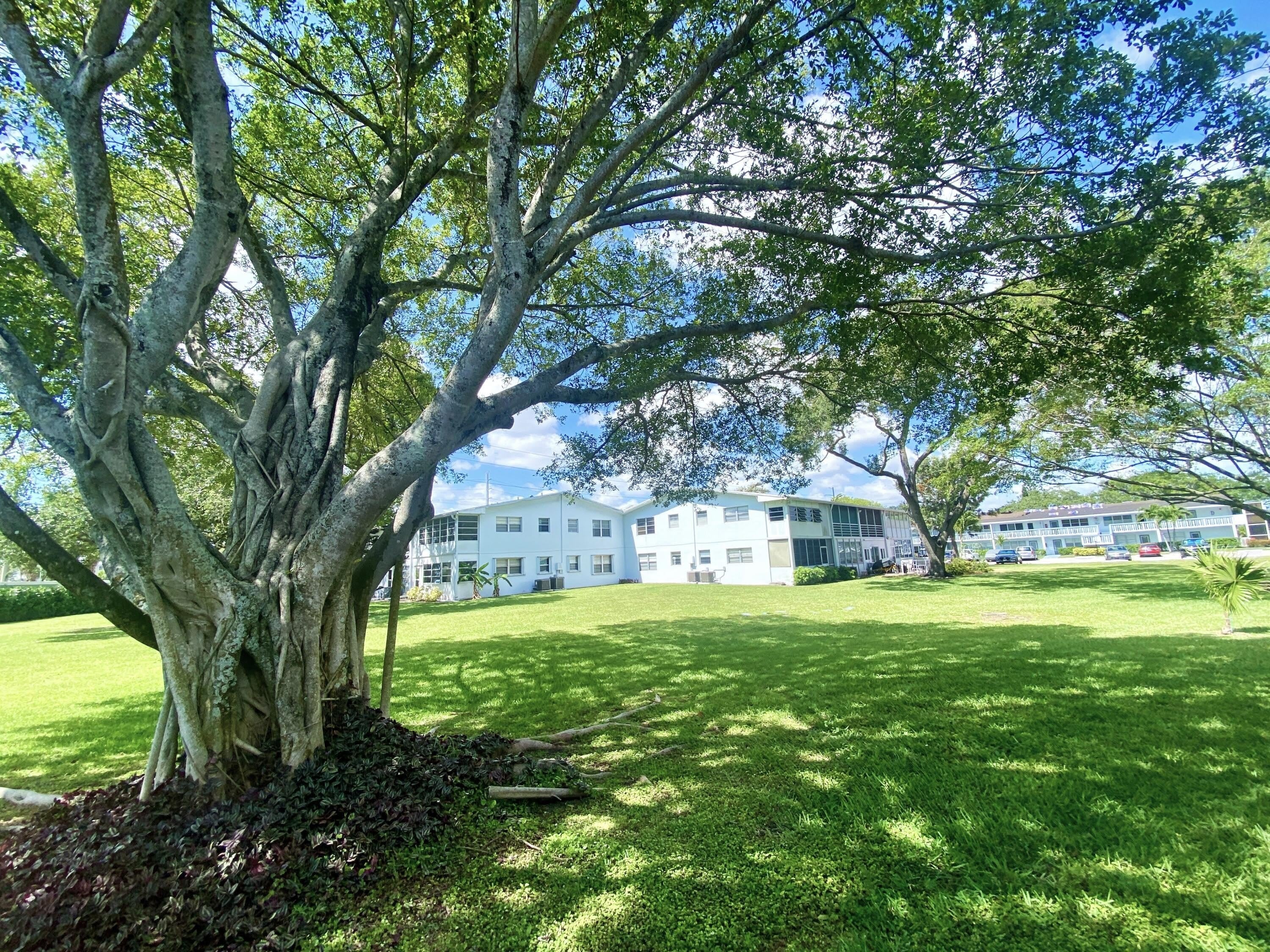 335 FARNHAM P – photo 1