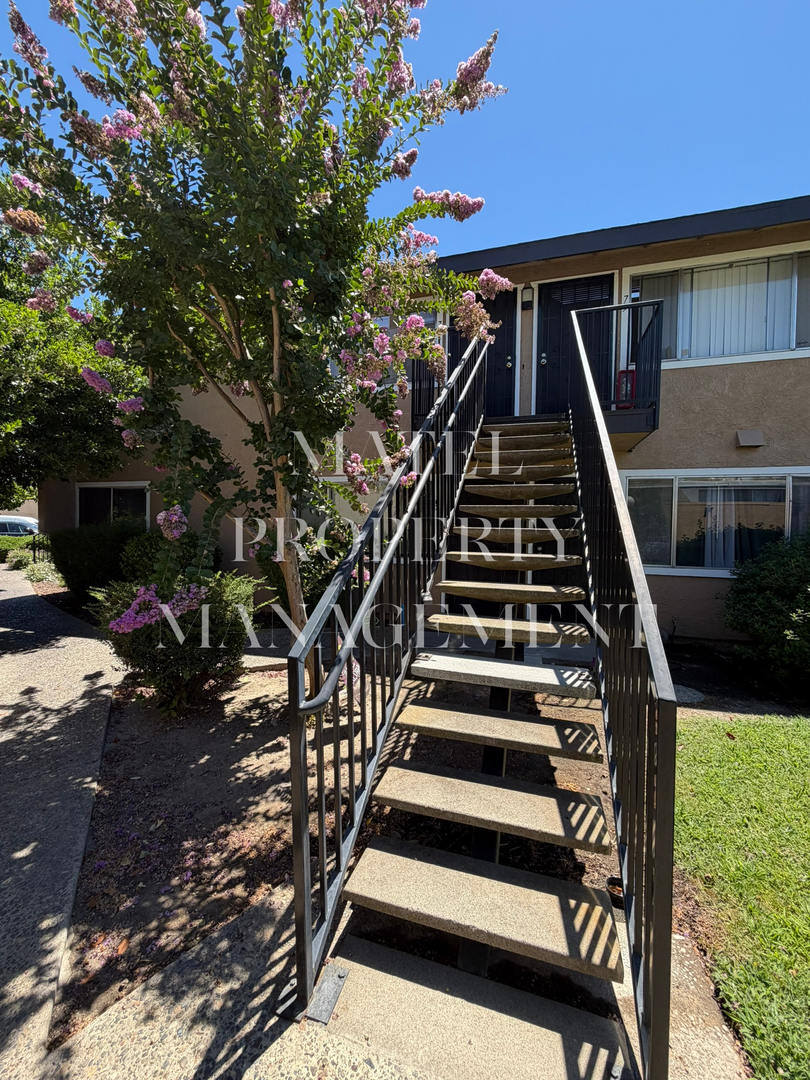 STAN325 – photo 1