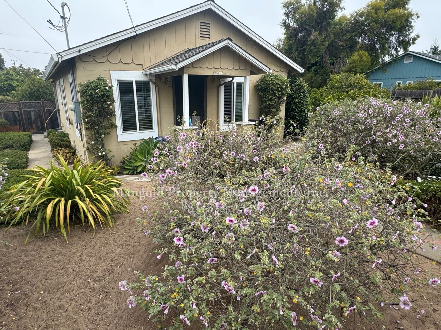 2 Bed 1 Bath Home With Large Fenced Yard – photo 1 of 14