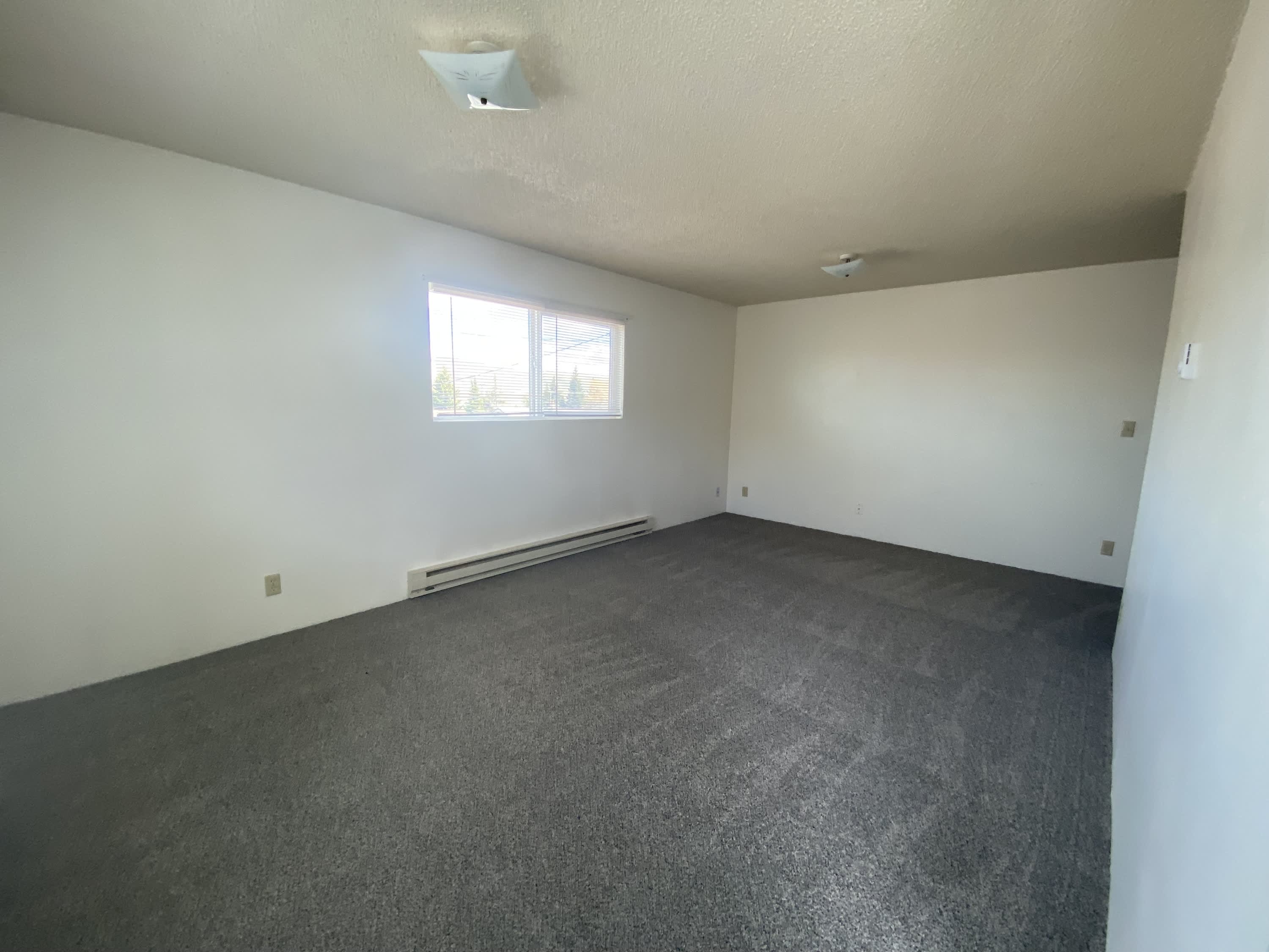 920 Elk Street – photo 1 of 17