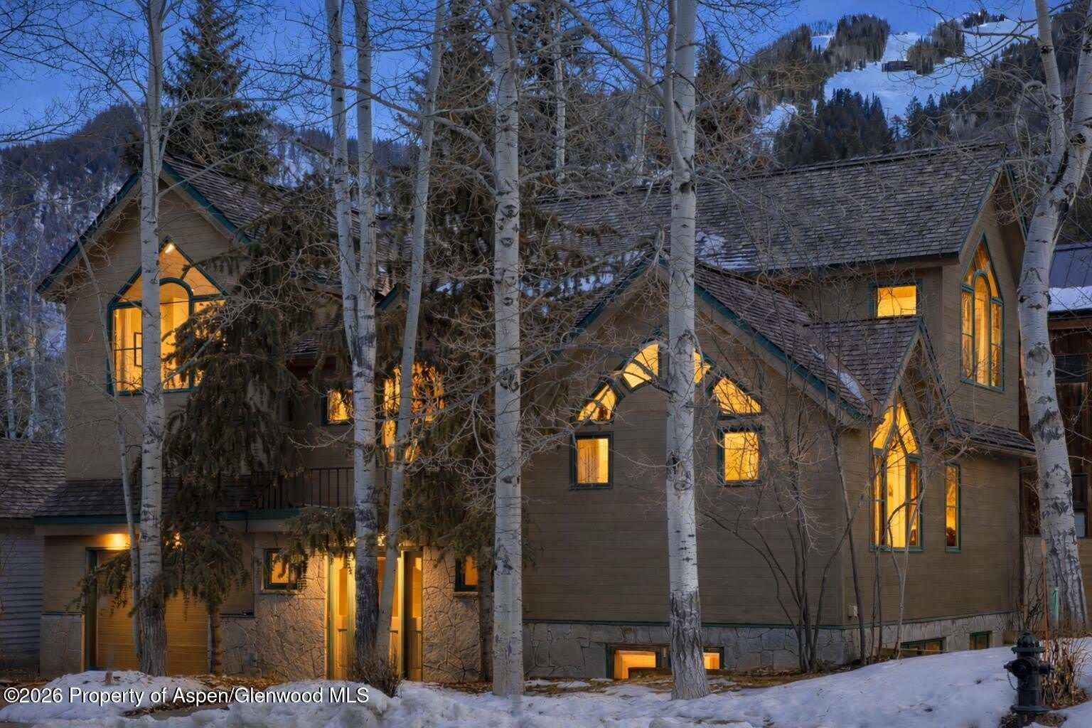333 W Hopkins Avenue – photo 1