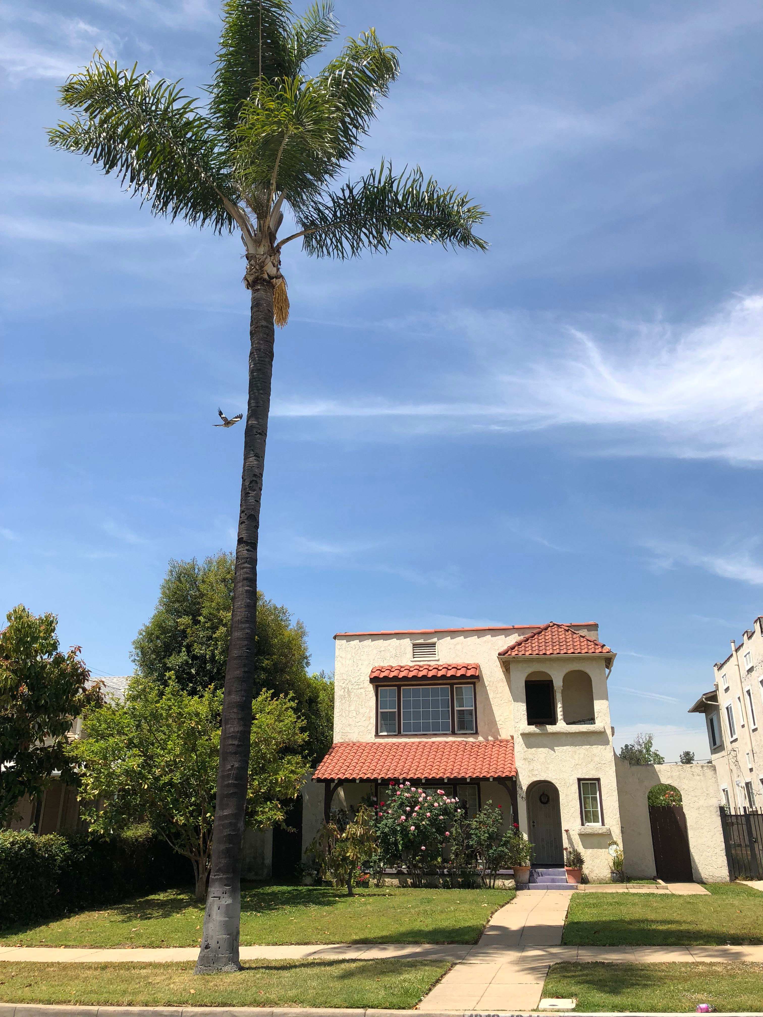 1841 S 8th St – photo 1