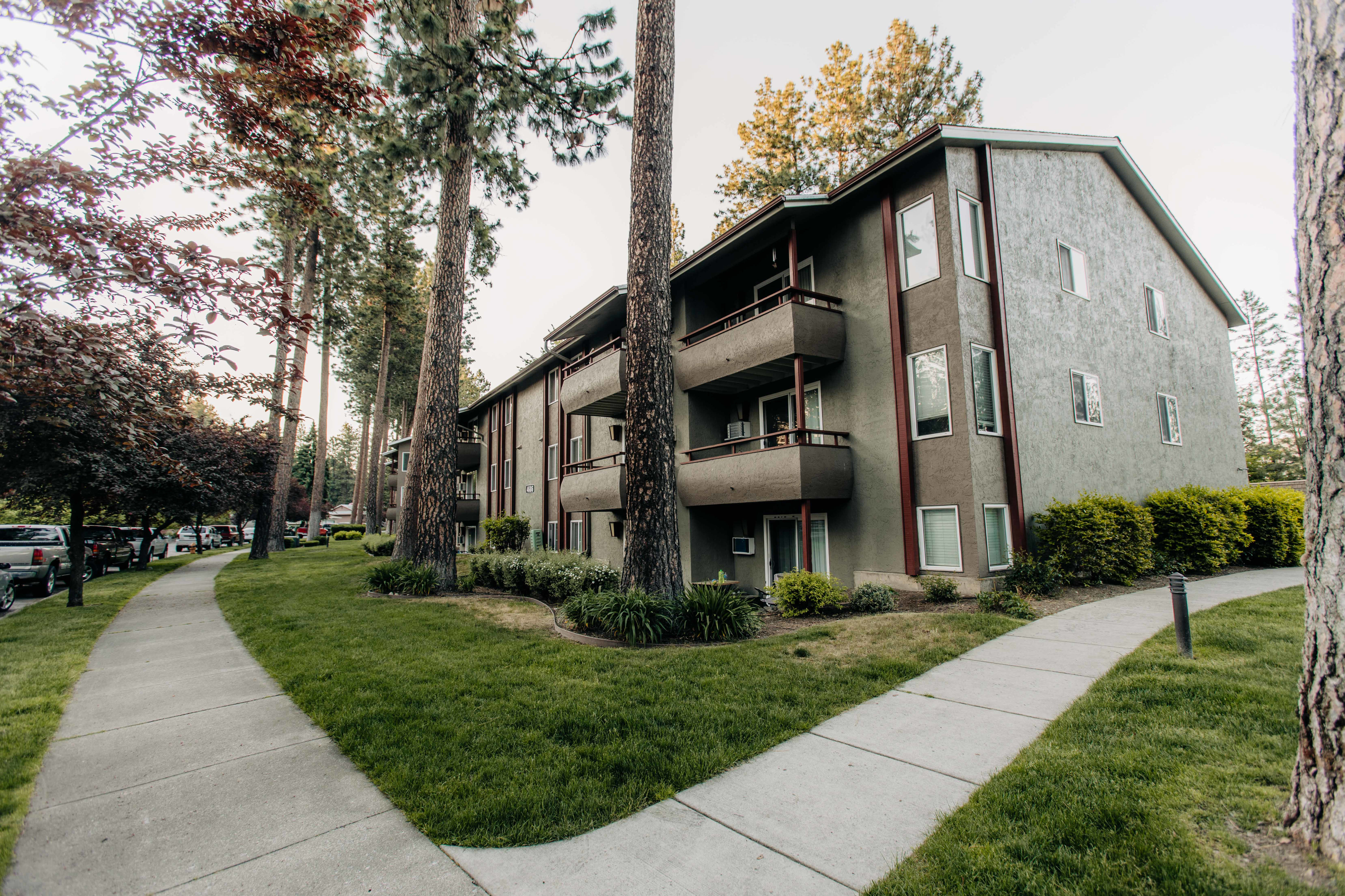 Treetop – photo 1 of 6