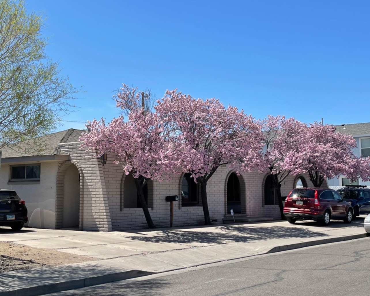 280 Gallaway Lane – photo 1