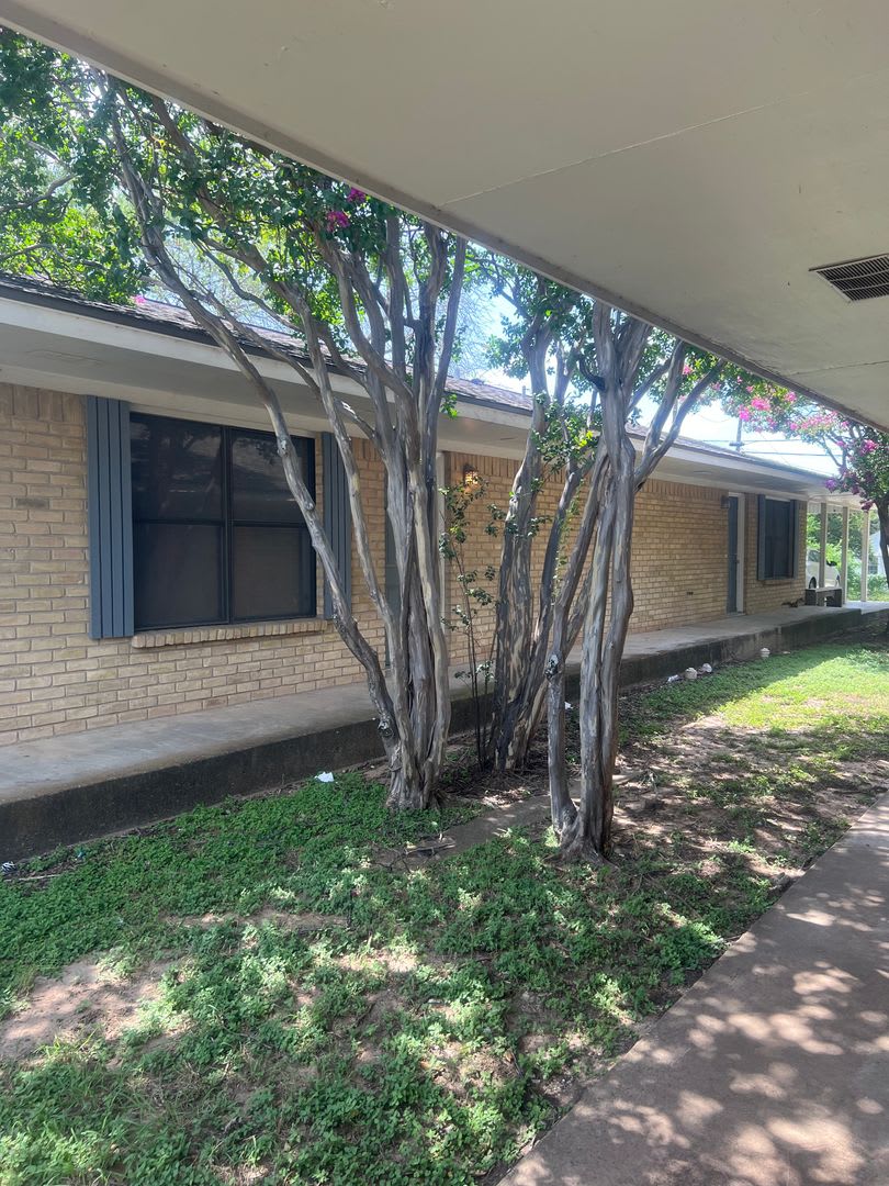 Close to Reicher School – photo 1