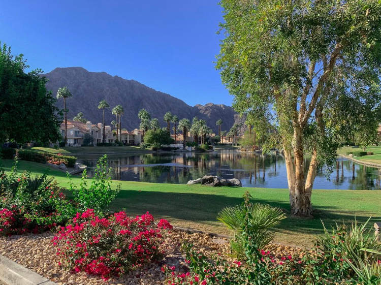55459 Tanglewood – photo 1