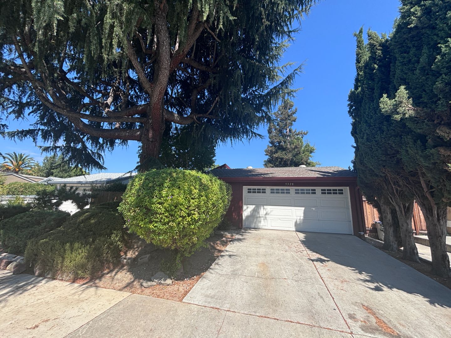 Blossom Valley- well maintained single-family home,3 beds, extra den and 2 baths – photo 1