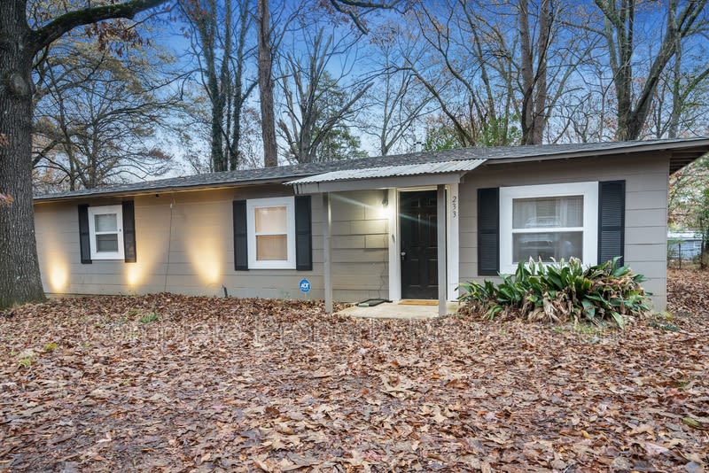 233 Tucker Avenue – photo 1