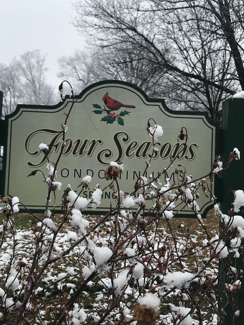 Four Seasons – photo 1 of 23