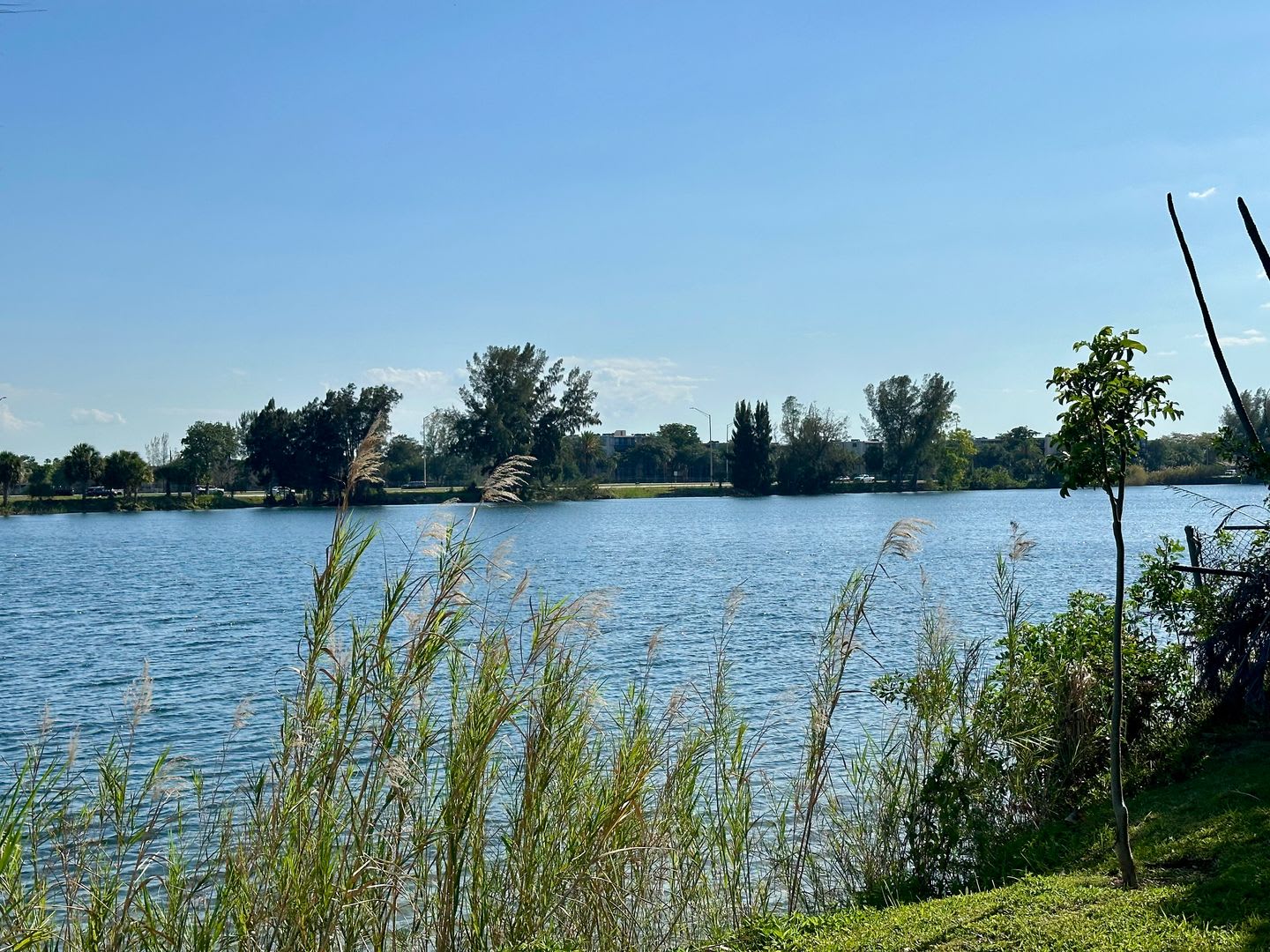 Crystal Lake Condominiums – photo 1