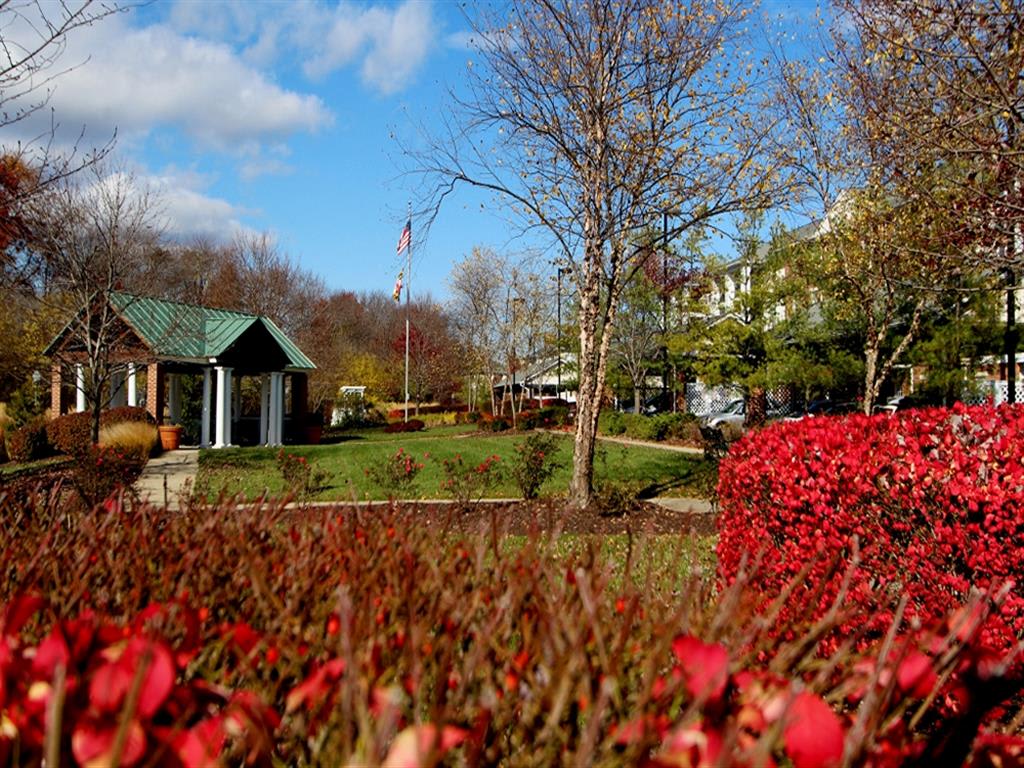 Senior Housing – photo 1