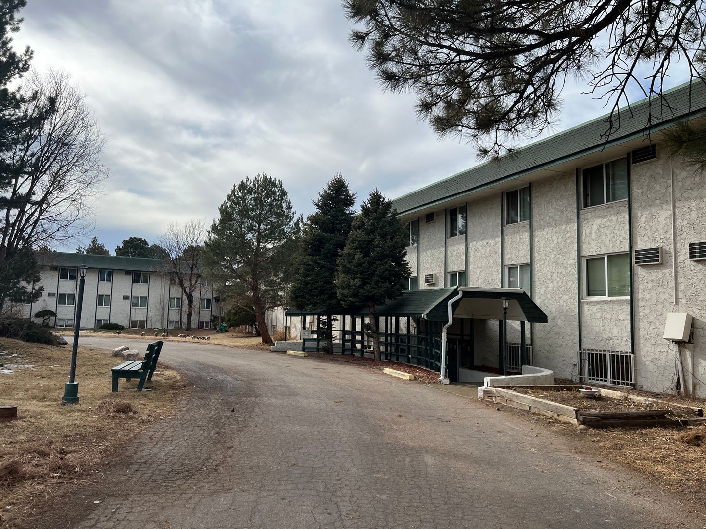 1 Bedroom 1 Bathroom Apartment In East Denver Move In Special – photo 1 of 213